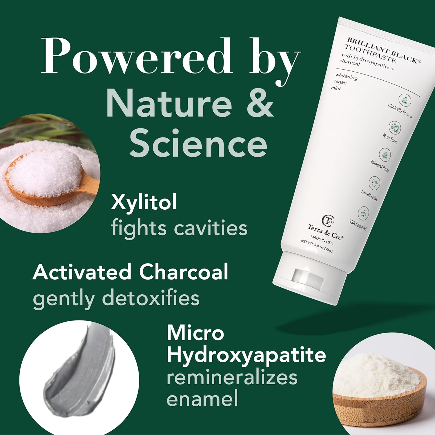 Terra & Co. Brilliant Black Hydroxyapatite Toothpaste for Whitening Teeth – USA-Made - Natural Remineralizing Toothpaste, Fluoride-Free, Vegan, SLS-Free, Low Abrasion – Mint, 3.4 oz