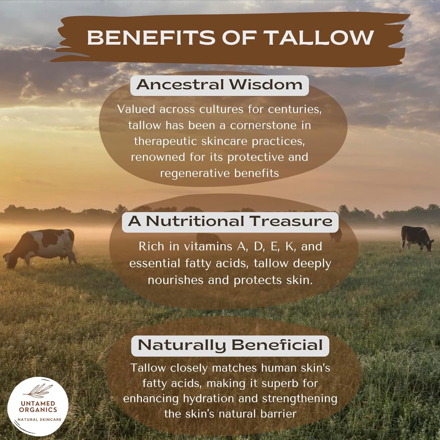 Pure Tallow Lip Balm | 100% Grass-Fed Beef Tallow and Organic Beeswax | Moisturizing Lip Care for Dry, Chapped Lips | Hypoallergenic, Fragrance-Free | Handcrafted in USA | 4-Pack (Peppermint)