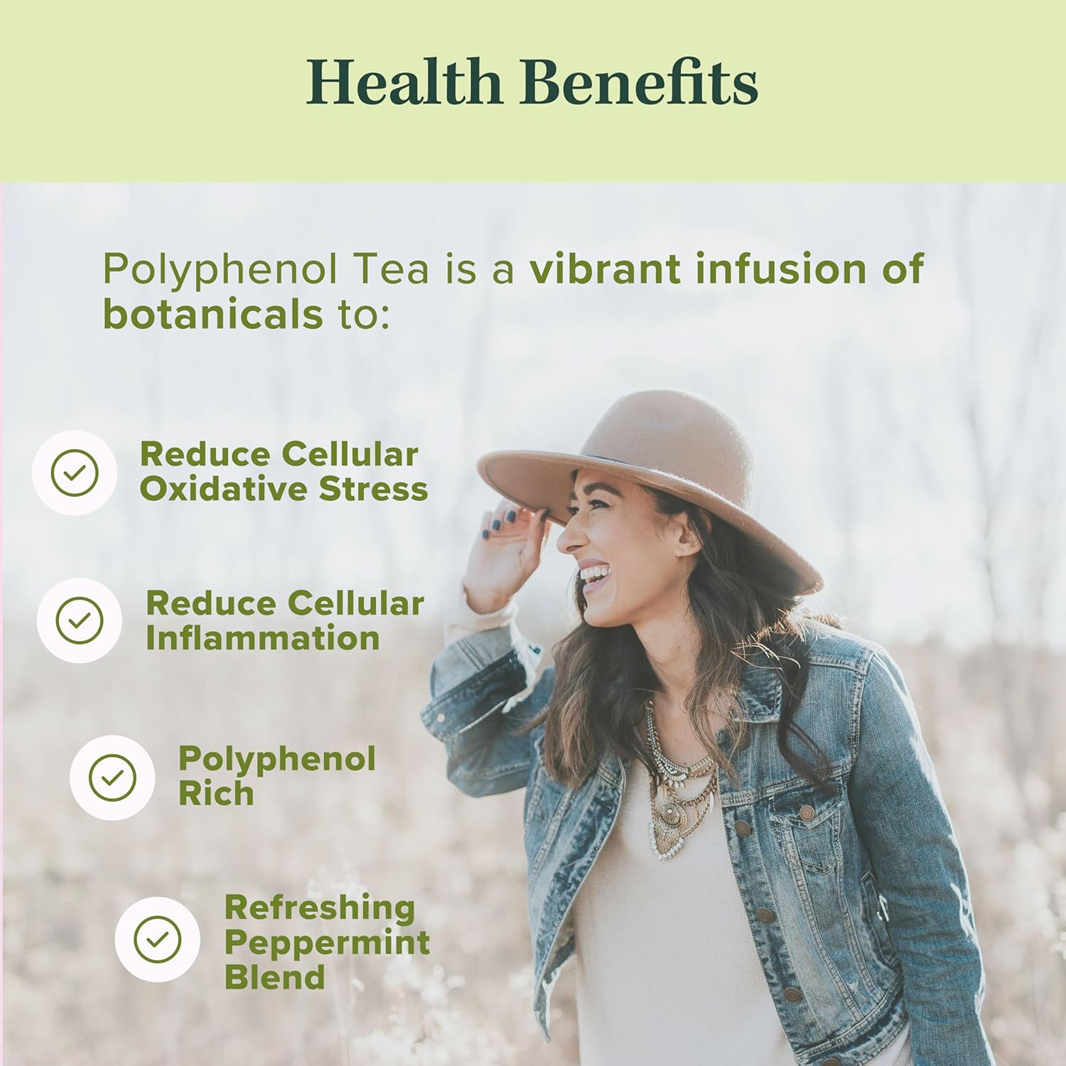 Jade Tea - Organic Polyphenol Tea - Peppermint Leaf, Star Anise, Clove, & Butterfly Pea Flower - Antioxidant Rich for Inflammation Support - Poha Berry Flavor - 25 Count (Pack of 1) - Made In USA