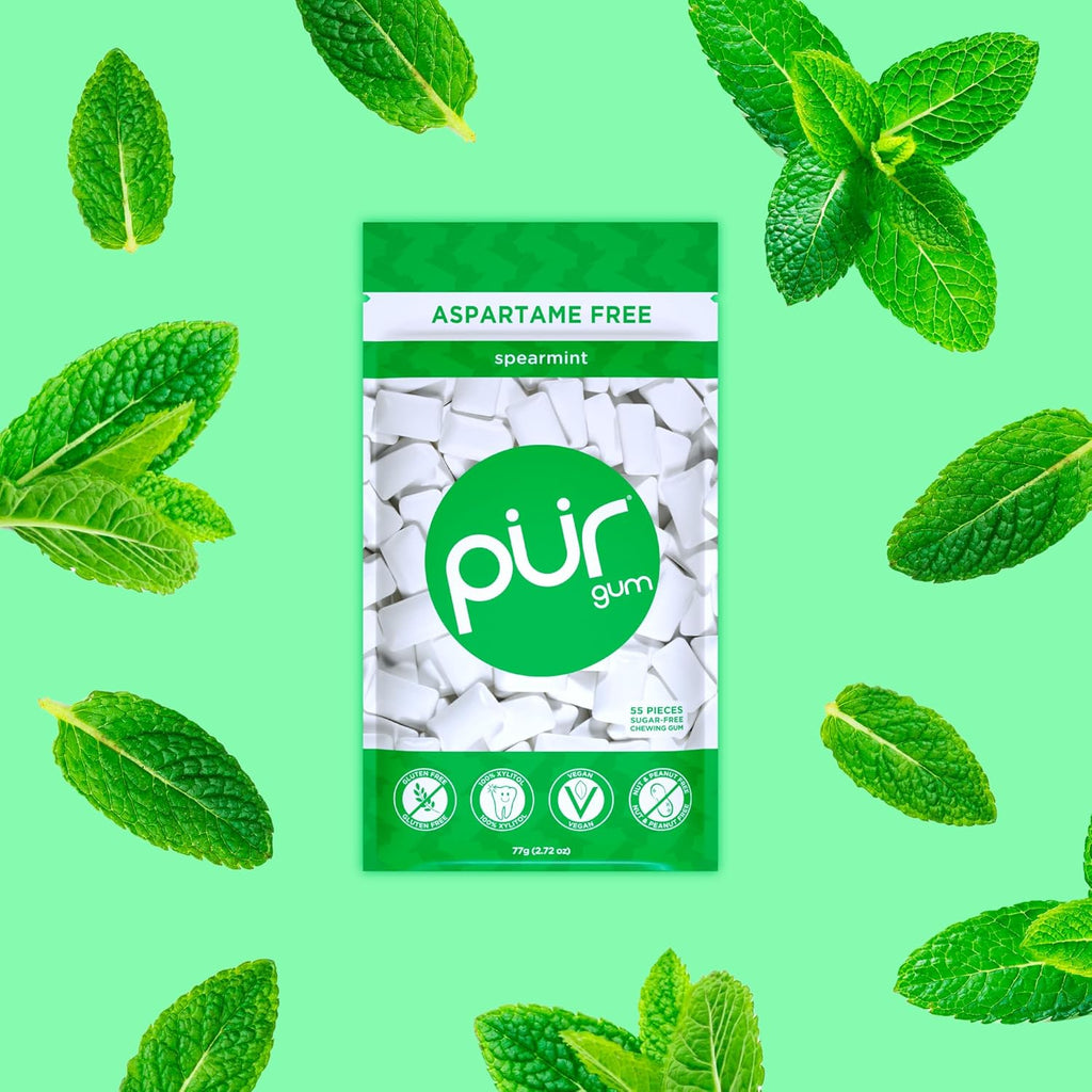 PUR Gum | Aspartame Free Chewing Gum | 100% Xylitol | Natural Spearmint Flavored Gum, 55 Pieces (Pack of 12)