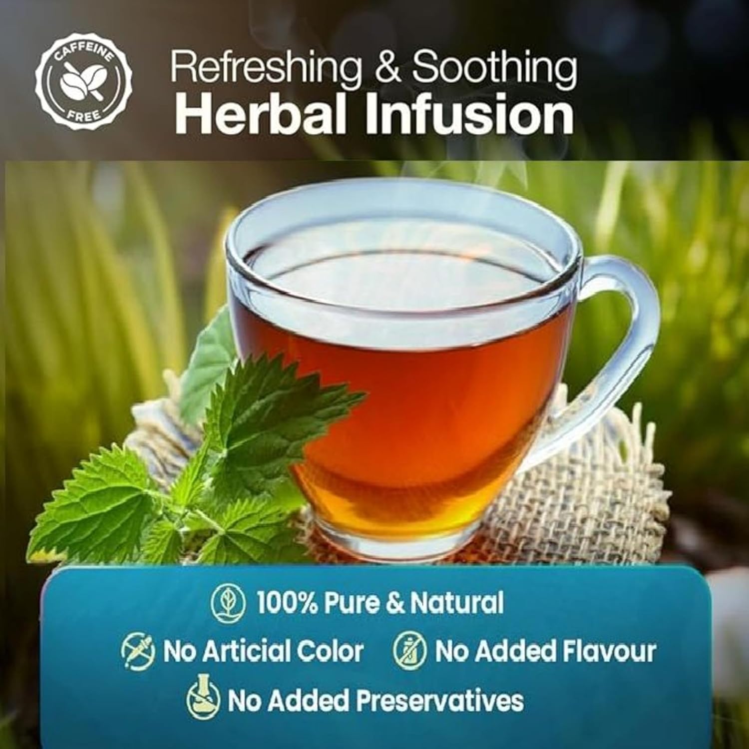 Goodwyn Peppermint Tea – 20 Herbal Tea Bags | Caffeine-Free Peppermint Flavor with Real mint Leaves | Organic mint Tea | Individually Wrapped Plastic-Free Bags | Travel-Friendly | Aromatic, Refreshing | Indian Origin Herbal Tea