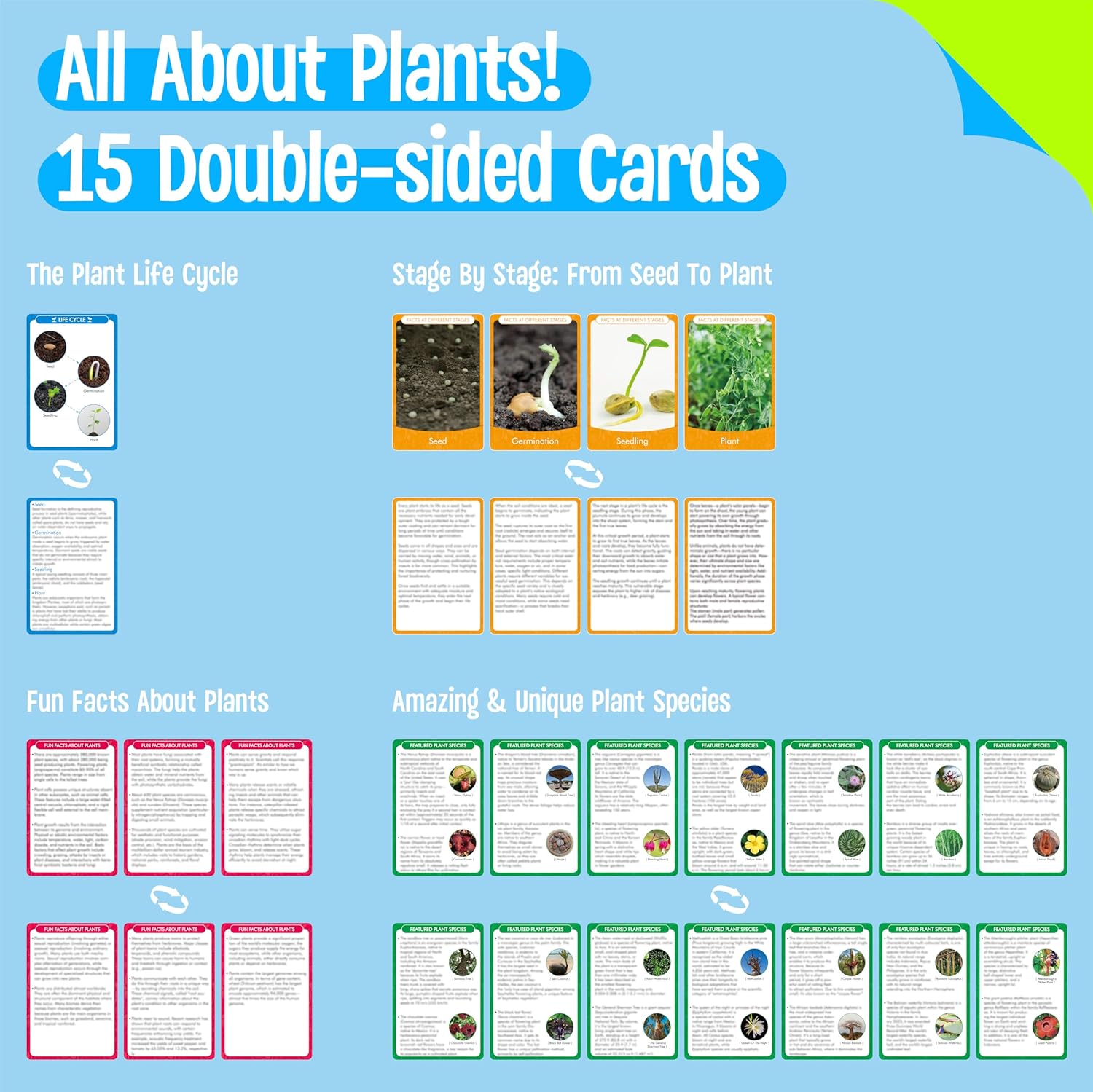15 Plant Life Circle Flashcards with 4 Plastic Figurines-Seed to Plant, Plants Introduction Card Plants Growth Details for Nature Lovers & Adults, Montessori Toy for Kids