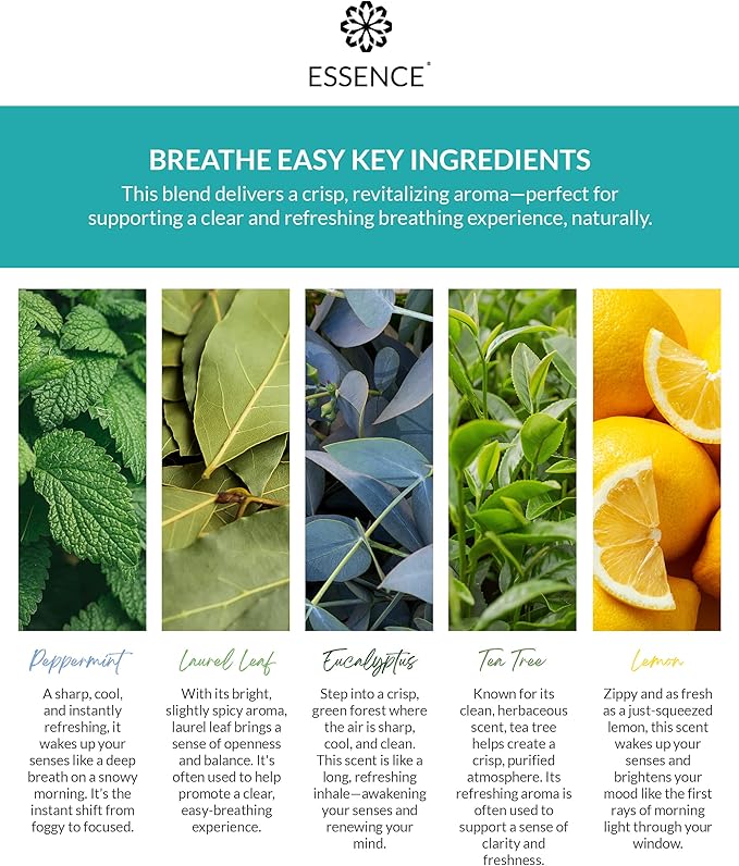 Essence Pearl Travel Case - Wearable Aromatherapy Kit with Nasal Diffuser Rings, Soaking Bay, and 5mL Essential Oil – Portable Wellness Gift Set for On?The?Go Self Care