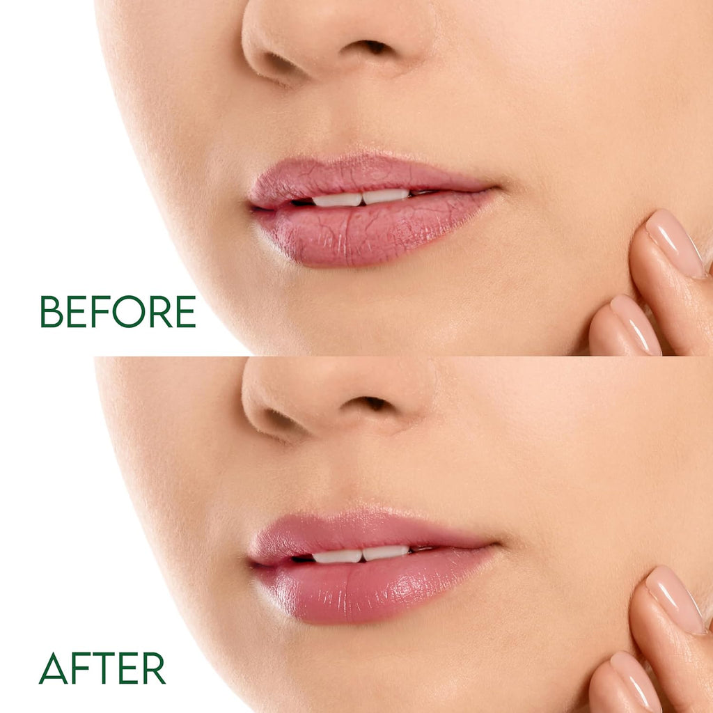 Organic Lip Balm, Spearmint Flavor, Ultra Hydrating Lip Moisturizer for Dry Lips, Oval Shaped Tube, USDA Certified Organic, 3 Pack - OrganiLip