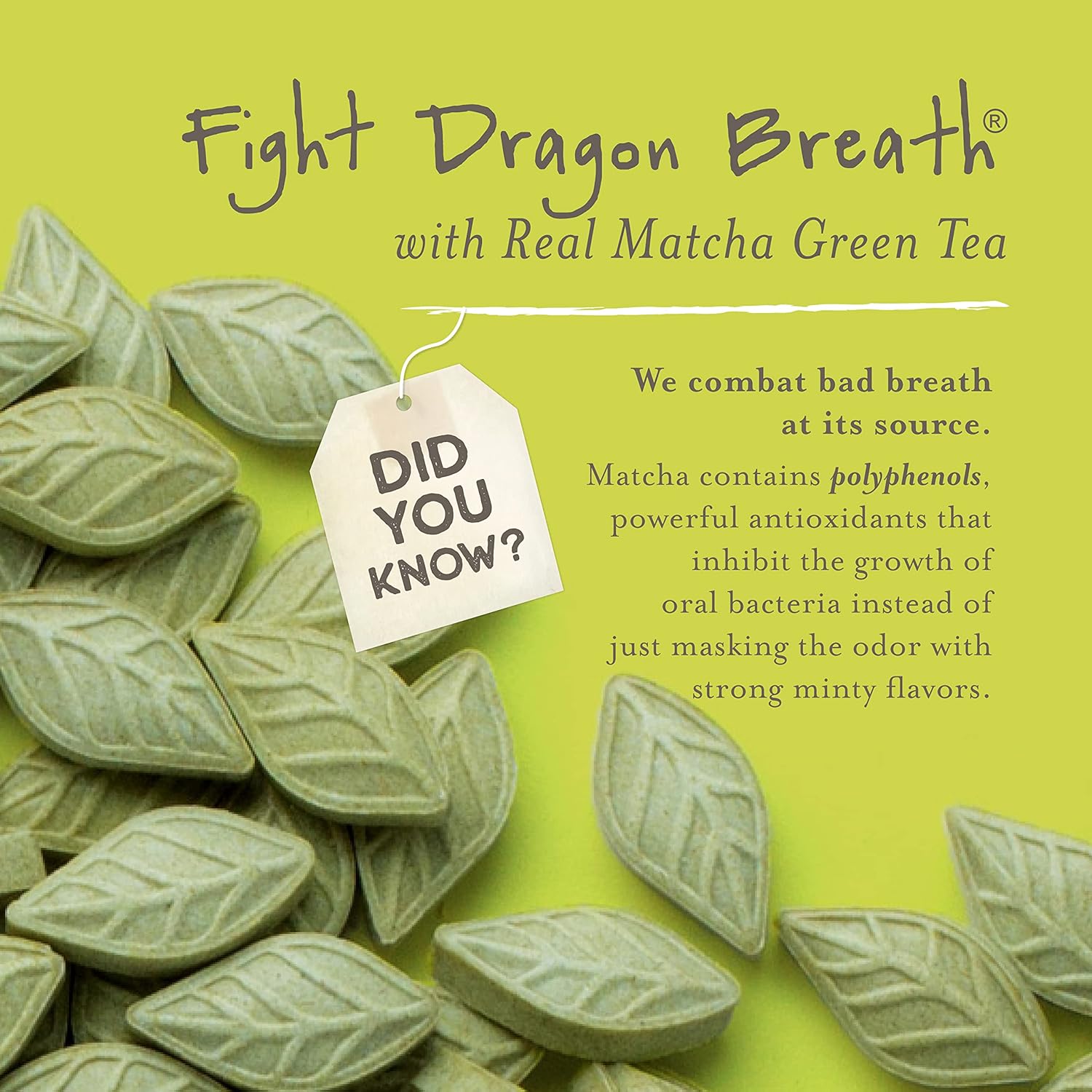 SEN CHA Naturals Green Tea Mints, Sugar-Free Breath Mints, Made With Organic Japanese Matcha Green Tea, Gluten-Free, Sugar-Free, Vegan & Keto-Friendly, Moroccan Mint, 1.2oz (1 Pack)