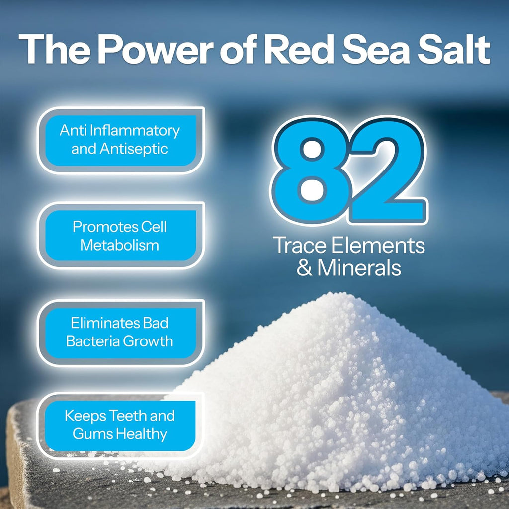 H2Ocean Healing Rinse Mouthwash- Great Tasting Sea Salt & Xylitol Mouth Wash for Fresh Breath & Dry Mouth - Alcohol & Fluoride Free - Arctic Ocean Mint 8oz