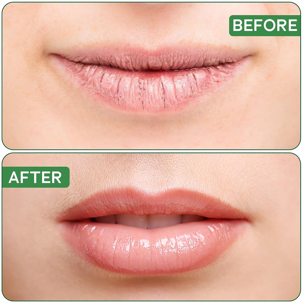 OrganiLip Organic Lip Balm, Variety3 Pack (Spearmint, Cherry, Acai), Ultra Hydrating Lip Moisturizer for Dry Lips, USDA Certified Organic,