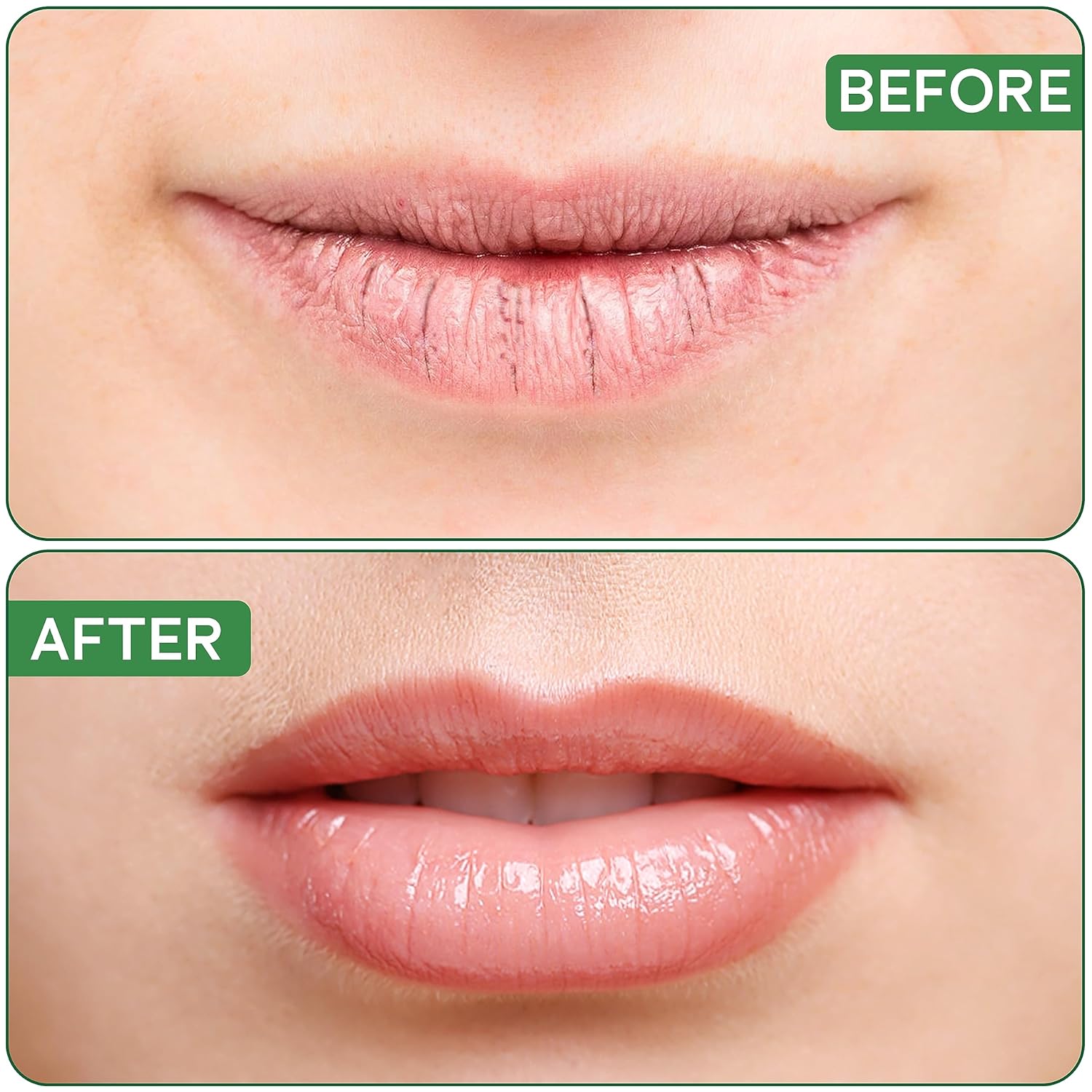 OrganiLip Organic Lip Balm, Variety3 Pack (Spearmint, Cherry, Acai), Ultra Hydrating Lip Moisturizer for Dry Lips, USDA Certified Organic,