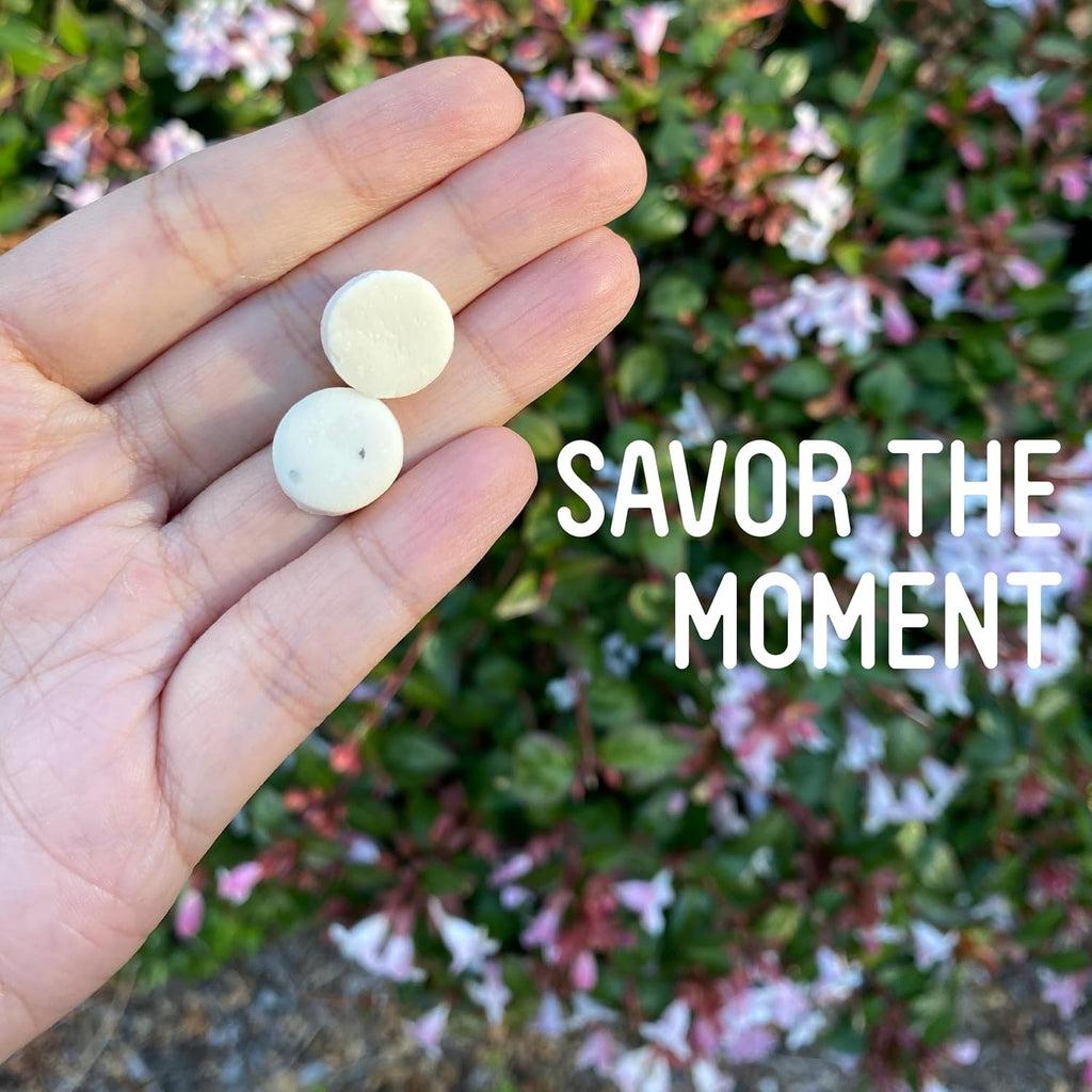 VerMints Organic Breath Mints - Real, Lasting Chai Flavored Pastilles - Breath Fresheners in Travel Mint Tins - Non-GMO, Nut Free, Gluten Free, Kosher & Vegan Candy - .63oz/18g (Pack of 12)