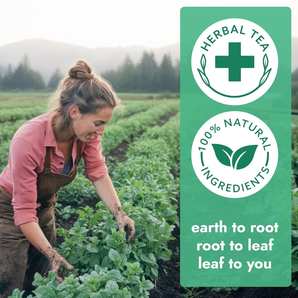 Vital Bloom Moringa Mint Tea, 120 Tea Bags, reduces inflammation, Bleach Free tea bags, Non GMO (Free Bamboo Tongs Included)