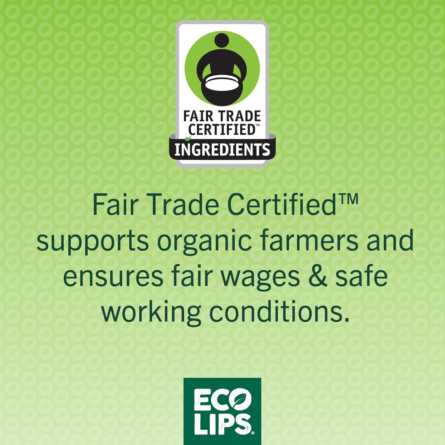 Eco Lips Lip Food - Nutrient Dense & Organic Lip Balm (Nourish, Plump and Protect)