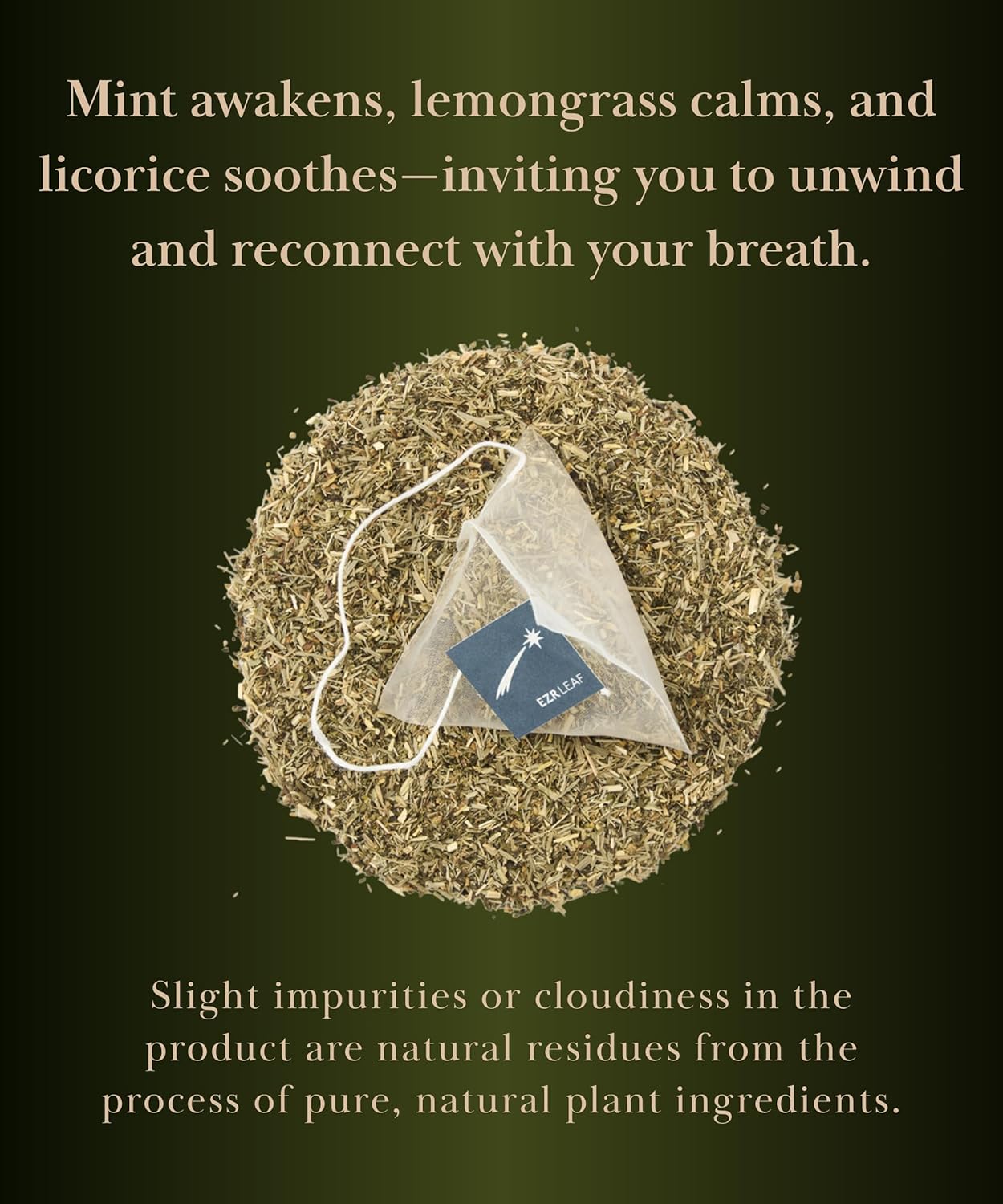 EZR Leaf Mint Herbal Tea, Caffeine Free Decaf, Pyramid Tea Bags 20 Counts 2.1 Once German Peppermint, Lemongrass, Licorice Blend for Relaxation, After-Meal, Bedtime