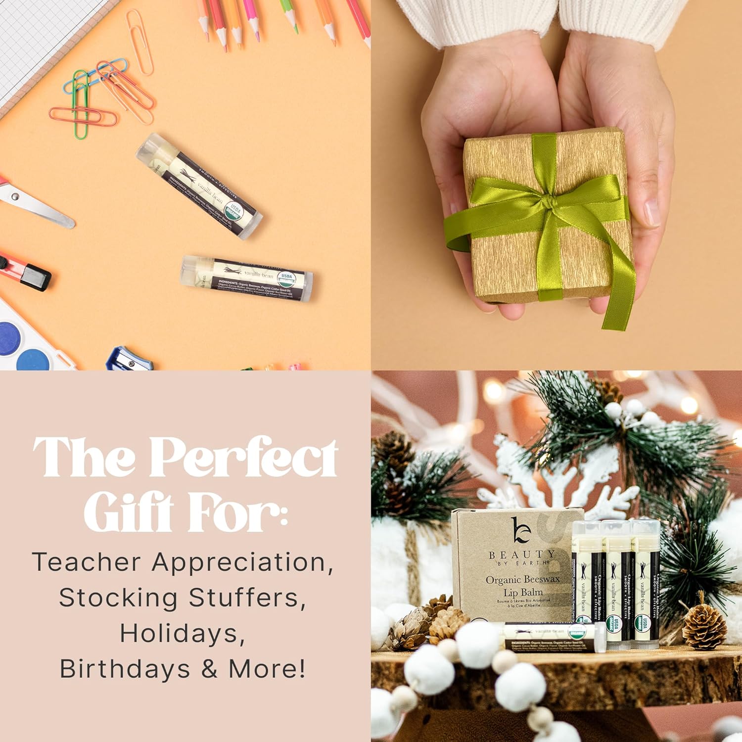 USDA Organic Lip Balm - USA Made with Natural Ingredients, Stocking Stuffers for Adults & Teens, Beeswax Vanilla Chapstick for Dry Lips, Beauty Gifts for Women, Birthday Gifts for Her & Him