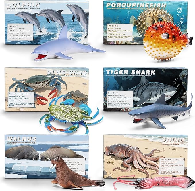 20 Pcs Ocean Animal Toy with Educational Booklet, Plastic Sea Animal with Gift Box, Mini Sea Creature Figures for Kids Age 3+, Birthday Gift, Ocean Theme Party Favor, Water Bath Toy for Toddler