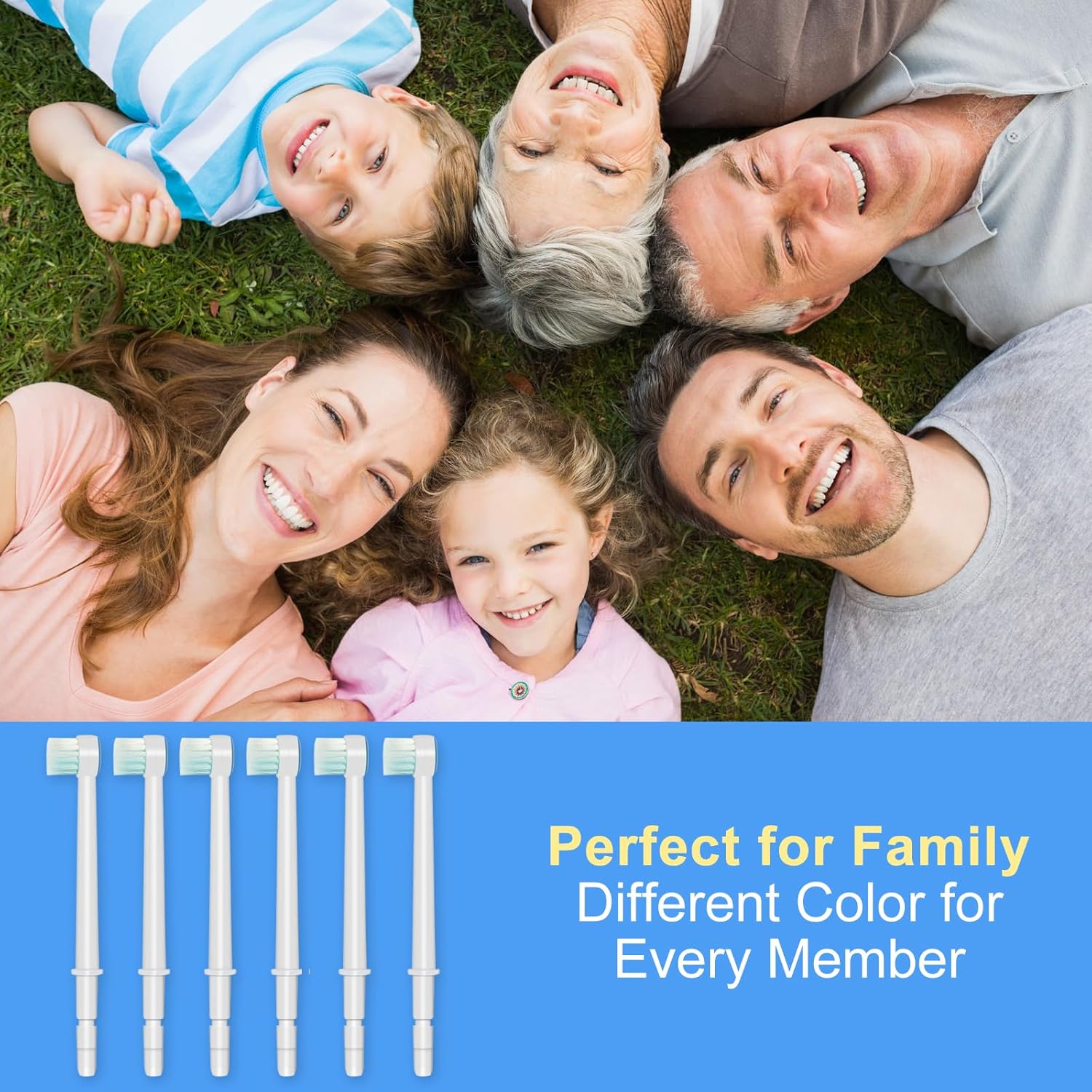 Replacement Tips for Waterpik Aquarius Water Flosser Waterpik Toothbrush Replacement Heads Toothbrush and Oral Irrigators (6 Brush Head Tips)