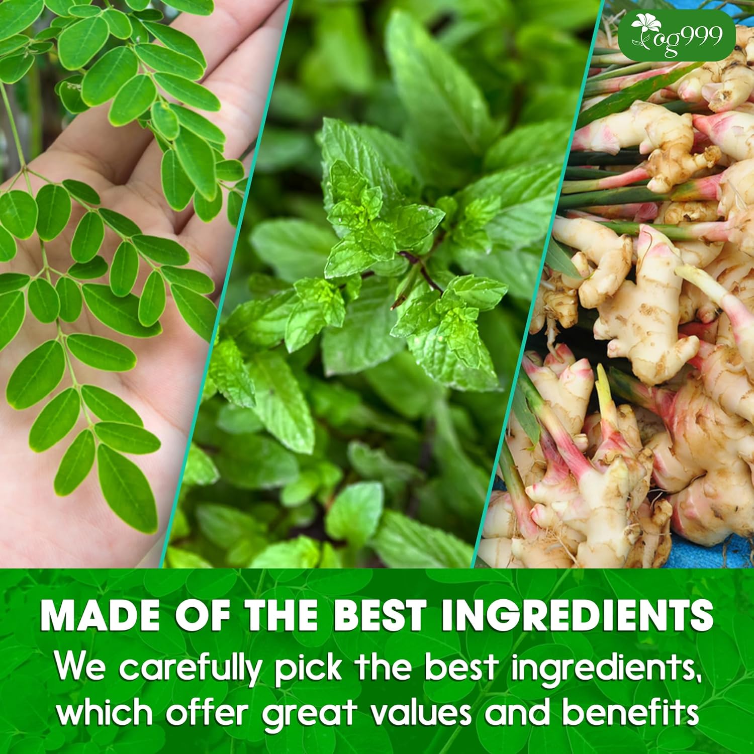 TOG999, Premium 20 Tea bags Super Moringa Herbal Tea, Special Blend of Moringa Leaves, Spearmint Leaves, Ginger, Lemon Peel and Chamomile. No Sugar, No Caffeine, No Gluten, Vegan.