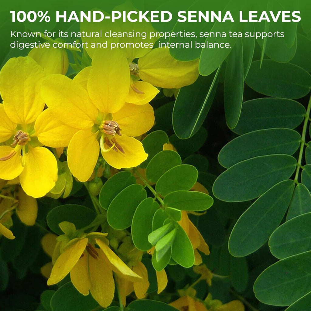 Senna Tea Bags - 55 Count (+5 Tea Bags), 5.29 oz, Bamboo Tong Included, Natural Senna Leaves, Supports Digestive Comfort & Gentle Cleanse, Slightly Bitter Herbal Tea for Daily Wellness
