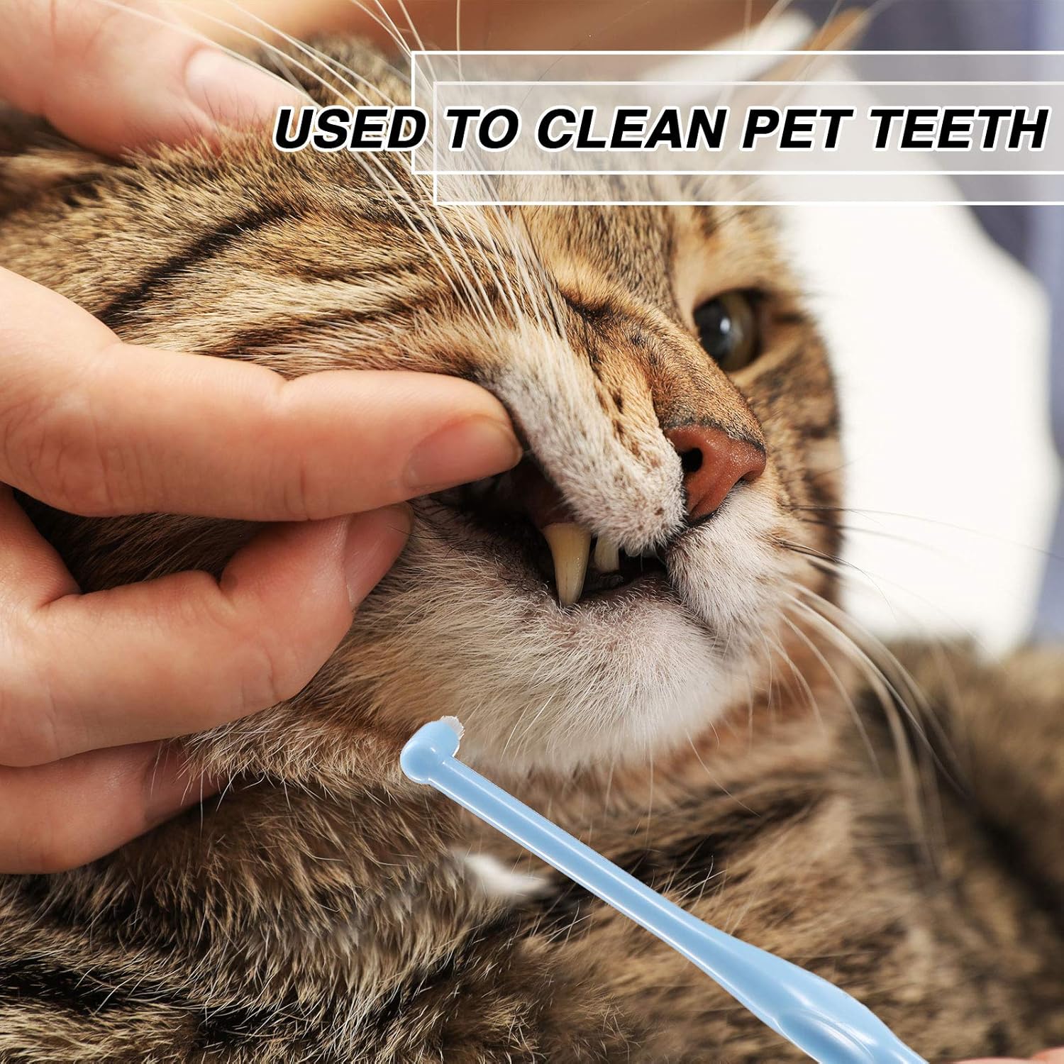 Patelai 12 Pcs End Tuft Toothbrush Soft Interdental Brushes Tooth Stain Remover Trim Toothbrush Single Brush for Implants Teeth Detail Cleaning Supplies(Orange, Rose Red, White and Blue)