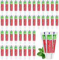 100 Tubes Travel Size Toothpaste in Bulk, Disposable Mini Mint Compact Small Pocket Size Essential Toothpaste for Vacation Hotel Shelter Homeless Nursing Home Charity Camping Single Use 0.17 oz/ 5g