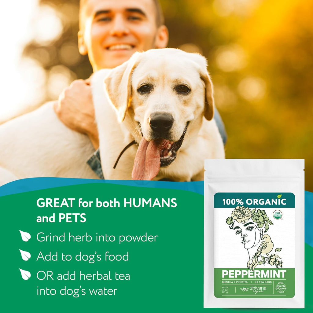 Peppermint Tea Organic (40 Tea Bags) - Hot Tea for Energy, Digestion, Nausea, Motion Sickness, Respiratory Support, Stress Relief - Te de Menta Organico Natural