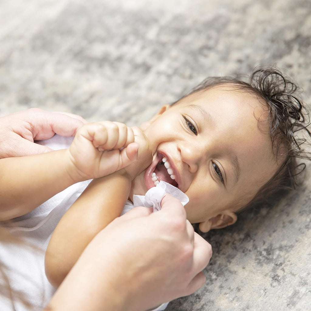 Dr. Brown's Healthy Wipes Variety Pack, Tooth and Gum, Nose and Face, Bottle and Pacifier, Cleaning Wipes, 100 count, 3-Pack Variety (Packaging May Vary)