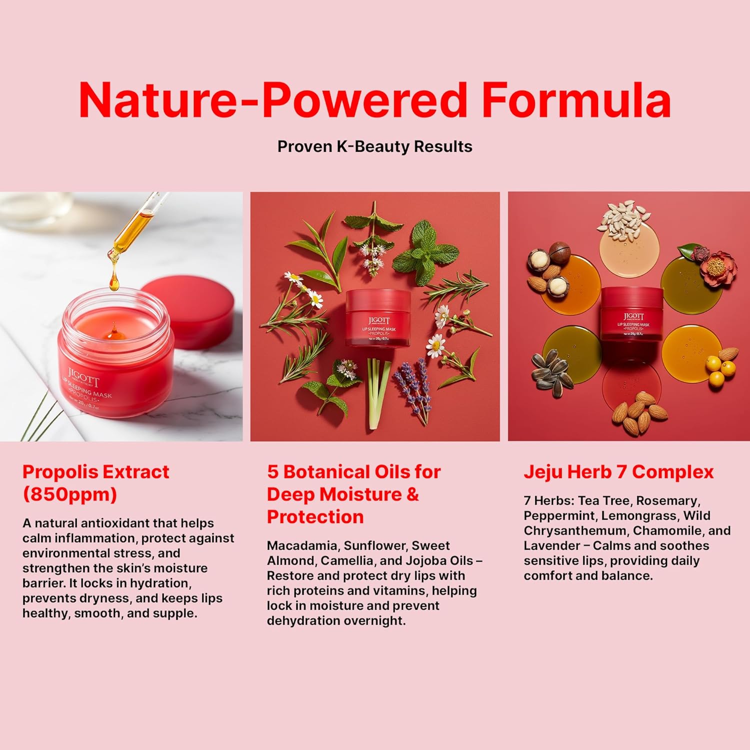 Jigott Korean Skincare Propolis Honey Lip Sleeping Mask – Nourishing Overnight Lip Treatment for Dry & Chapped Lips, K-Beauty Hydrating Lip Balm with Propolis Extract, Repairs & Softens Lips (20g)