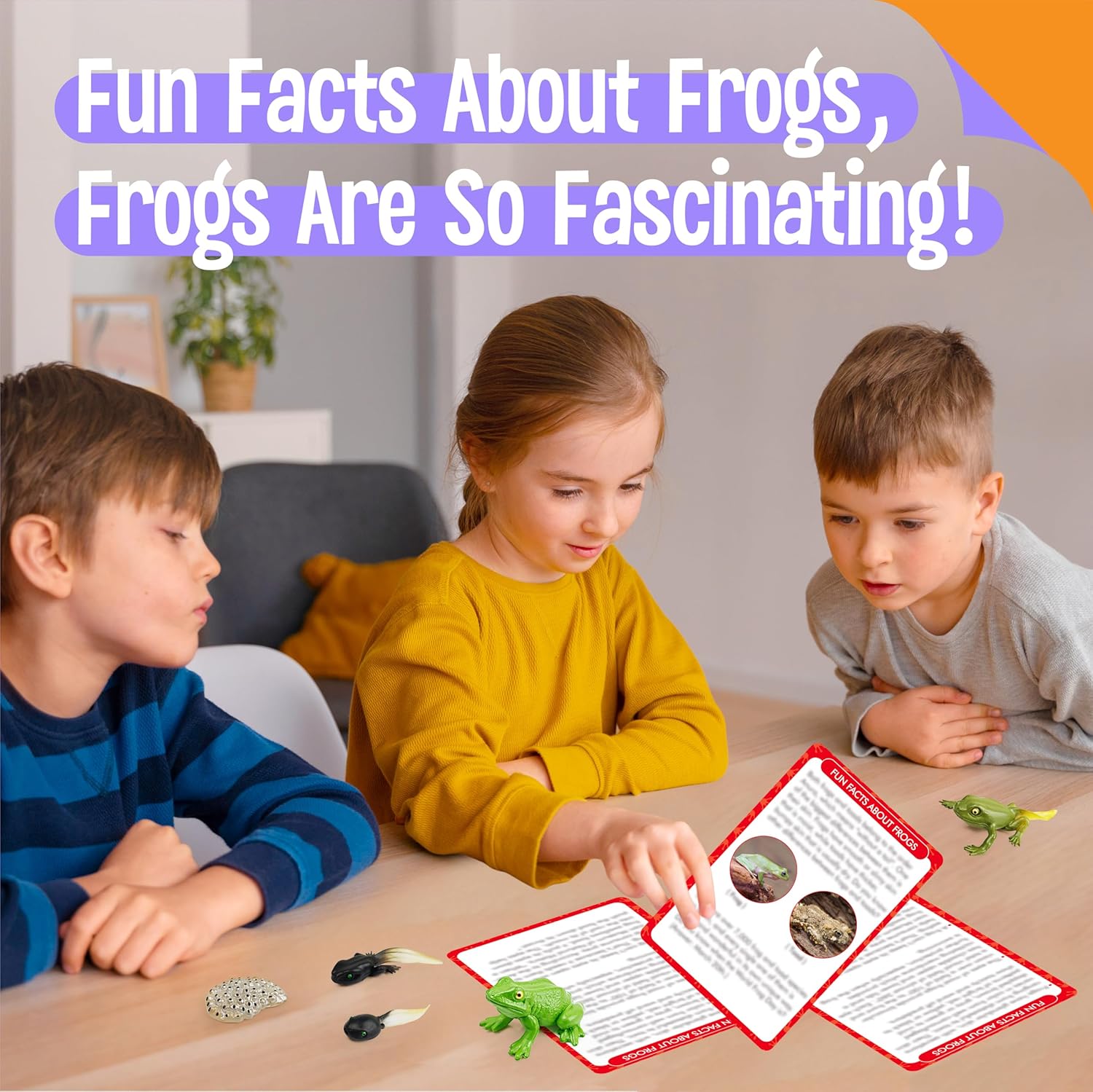 15 Frog Life Circle Flashcards with 5 Plastic Figurines, Frogs Introduction Cards Plastic Insects Tadpole to Frog Kit Toy for Kids, Adults, Animal Lovers