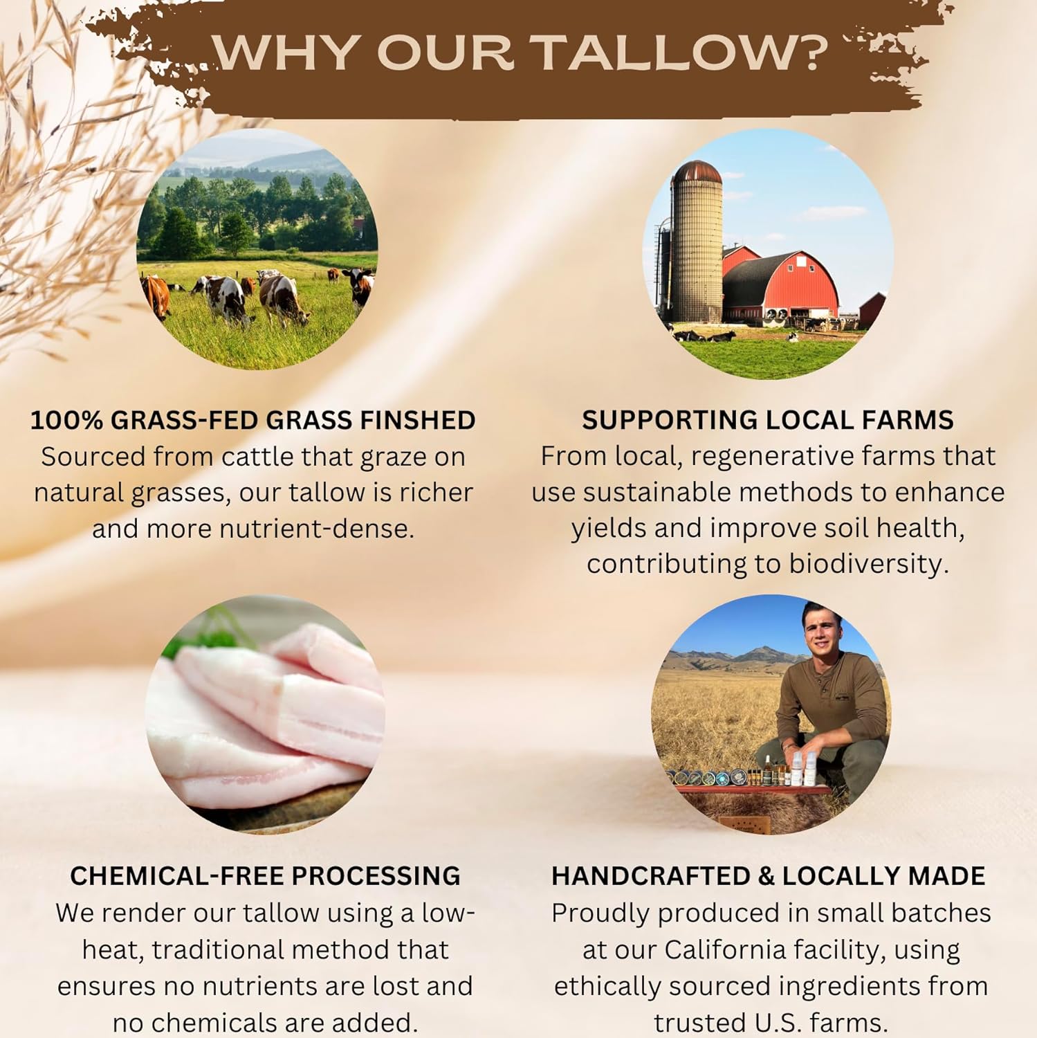 Pure Tallow Lip Balm | 100% Grass-Fed Beef Tallow and Organic Beeswax | Moisturizing Lip Care for Dry, Chapped Lips | Hypoallergenic, Fragrance-Free | Handcrafted in USA | 4-Pack (Peppermint)