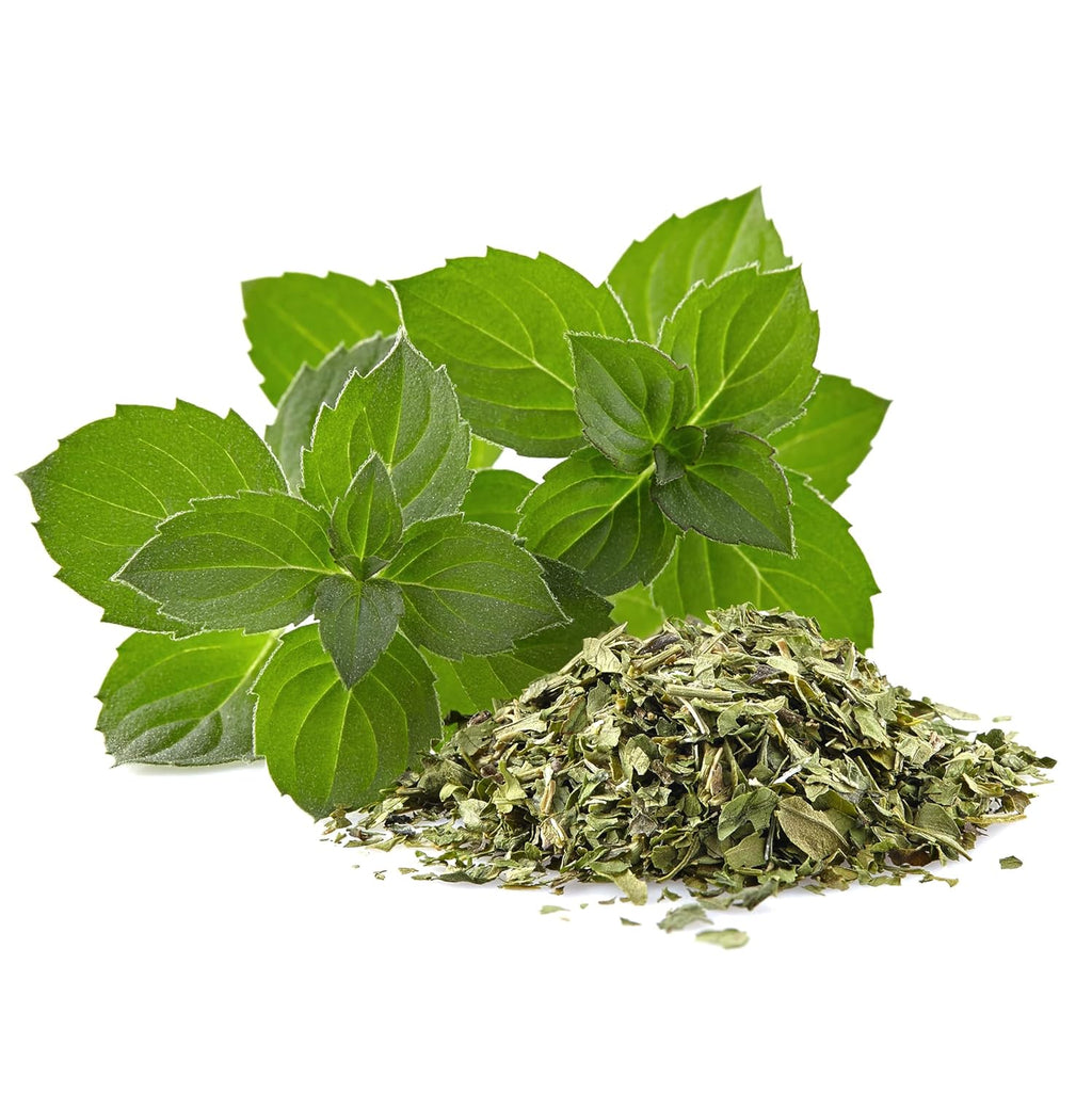 Jovvily Peppermint Leaf, 12 oz, Cut & Sifted, Herbal Tea, Refreshing