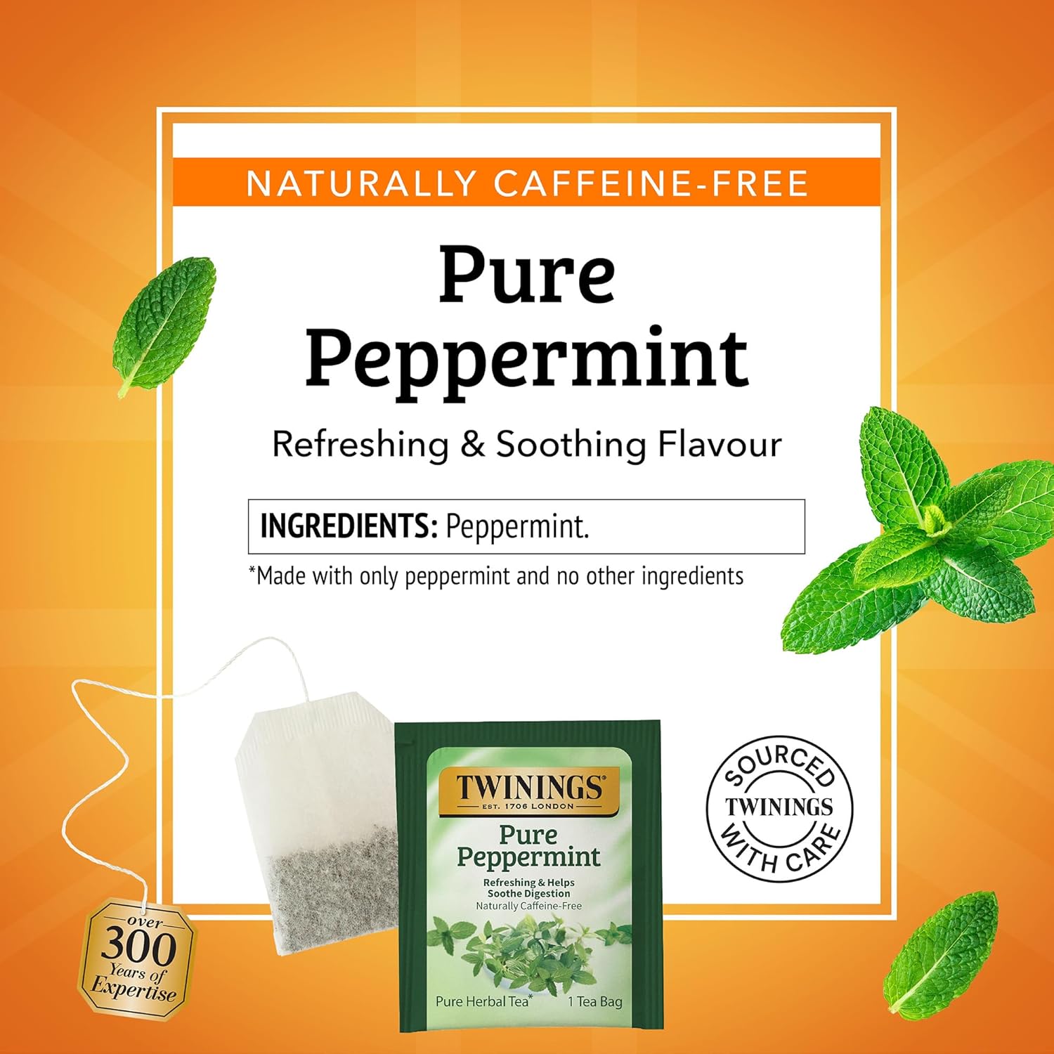Twinings Pure Peppermint Herbal Tea Individually Wrapped Bags, 25 Count (Pack of 6), Fresh Minty Flavour, Naturally Caffeine-Free, Enjoy Hot or Iced, 150 Teabags