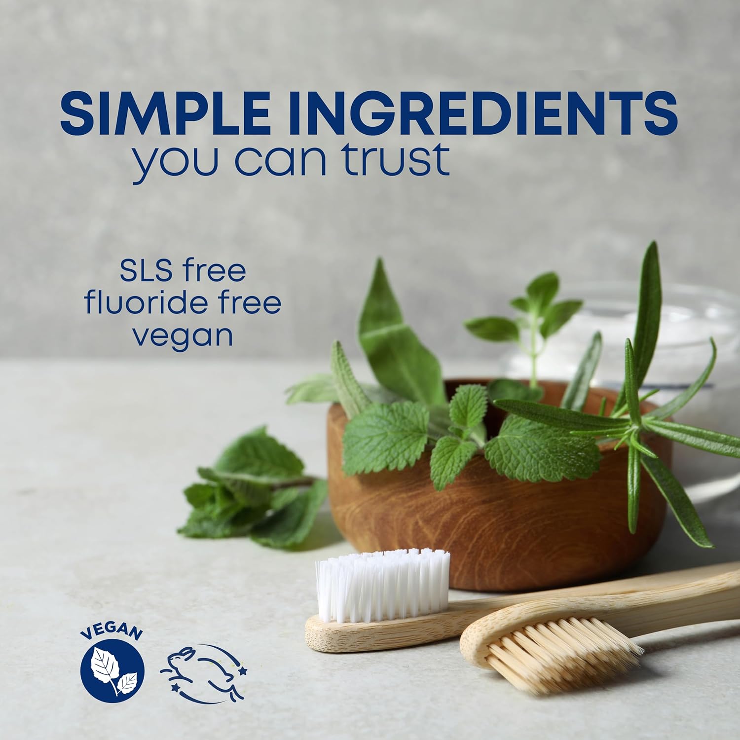 Kiss My Face Sensitive Toothpaste Gel, Citrus Mint Gel, Protection for Sensitive Teeth and Gums, with Tea Tree Oil, Aloe and Iceland Moss, Fluoride Free, Vegan, 4.5 oz, 6 Pack