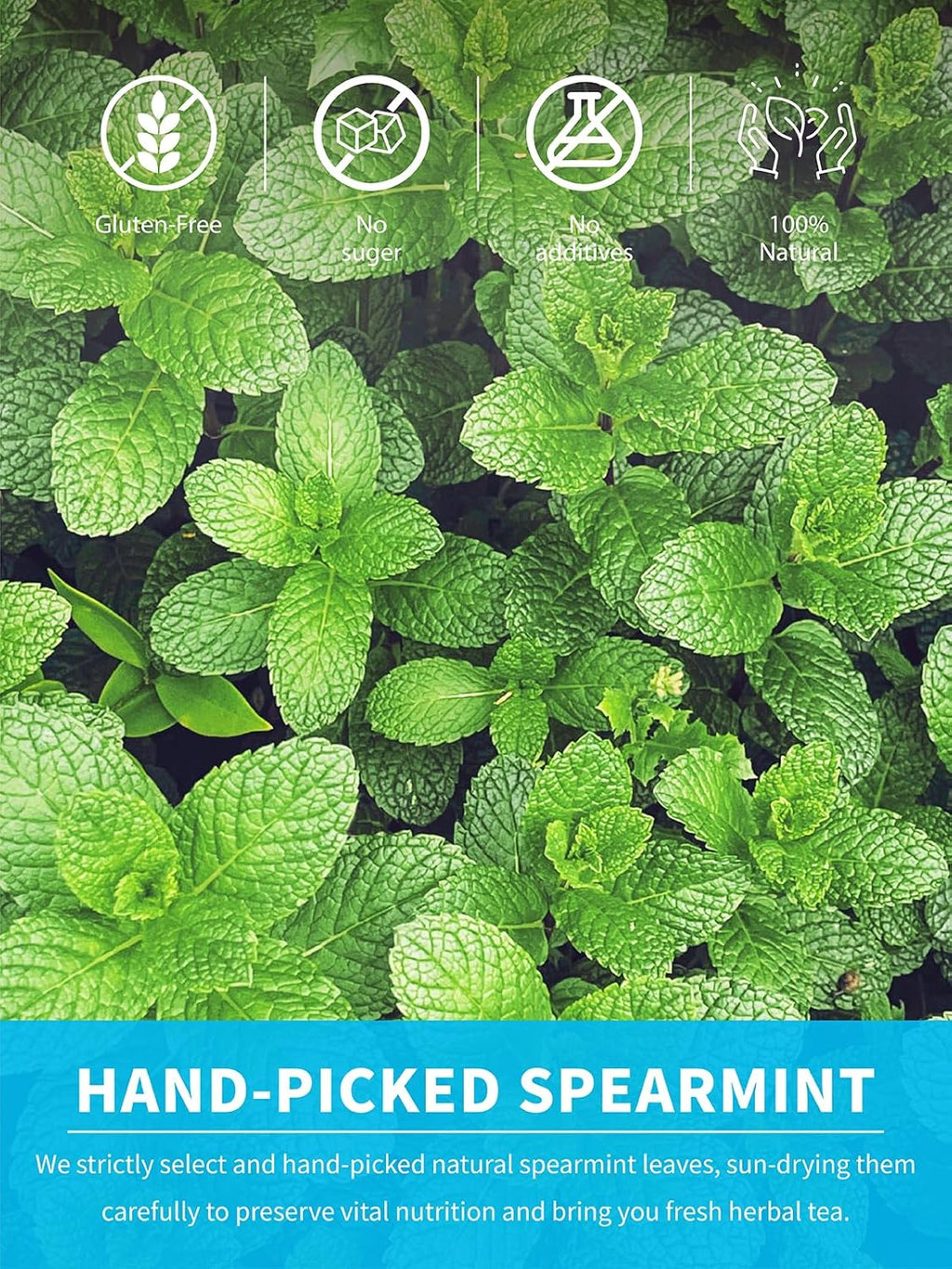 TeeLux Spearmint Tea Bags, Natural Spearmint Leaf Herbal Tea, Refreshing & Smooth Mint Tea, Caffeine Free, 100 Count