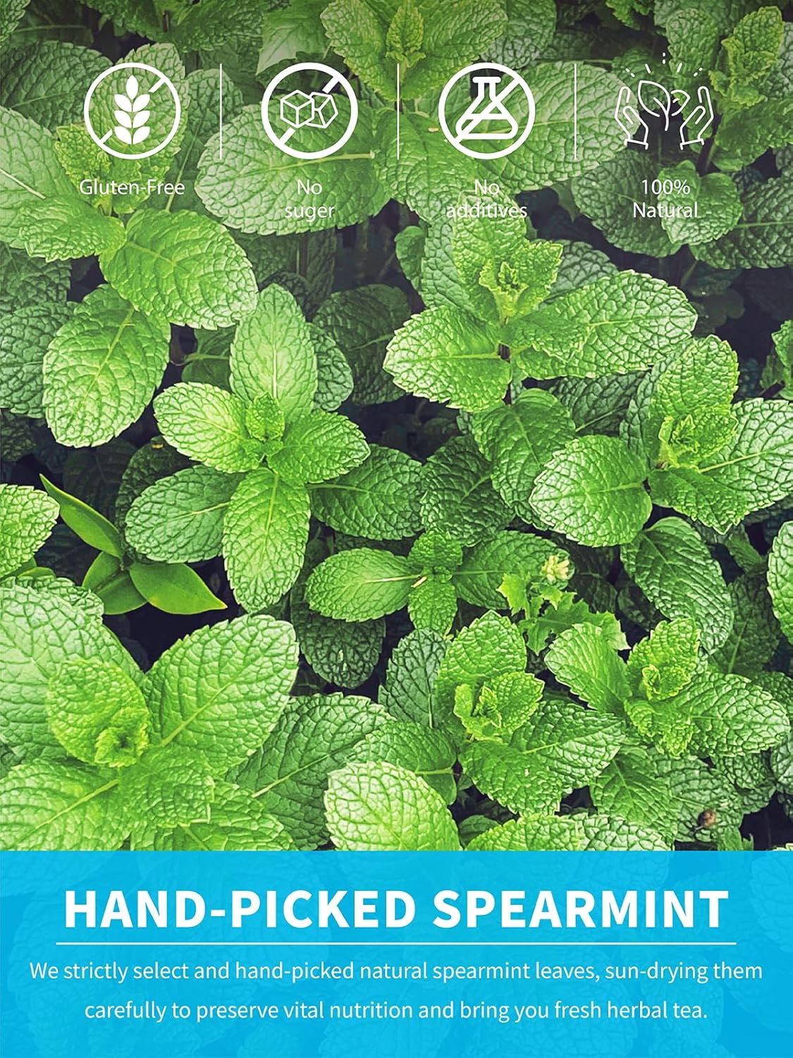 TeeLux Spearmint Tea Bags, Natural Spearmint Leaf Herbal Tea, Refreshing & Smooth Mint Tea, Caffeine Free, 100 Count