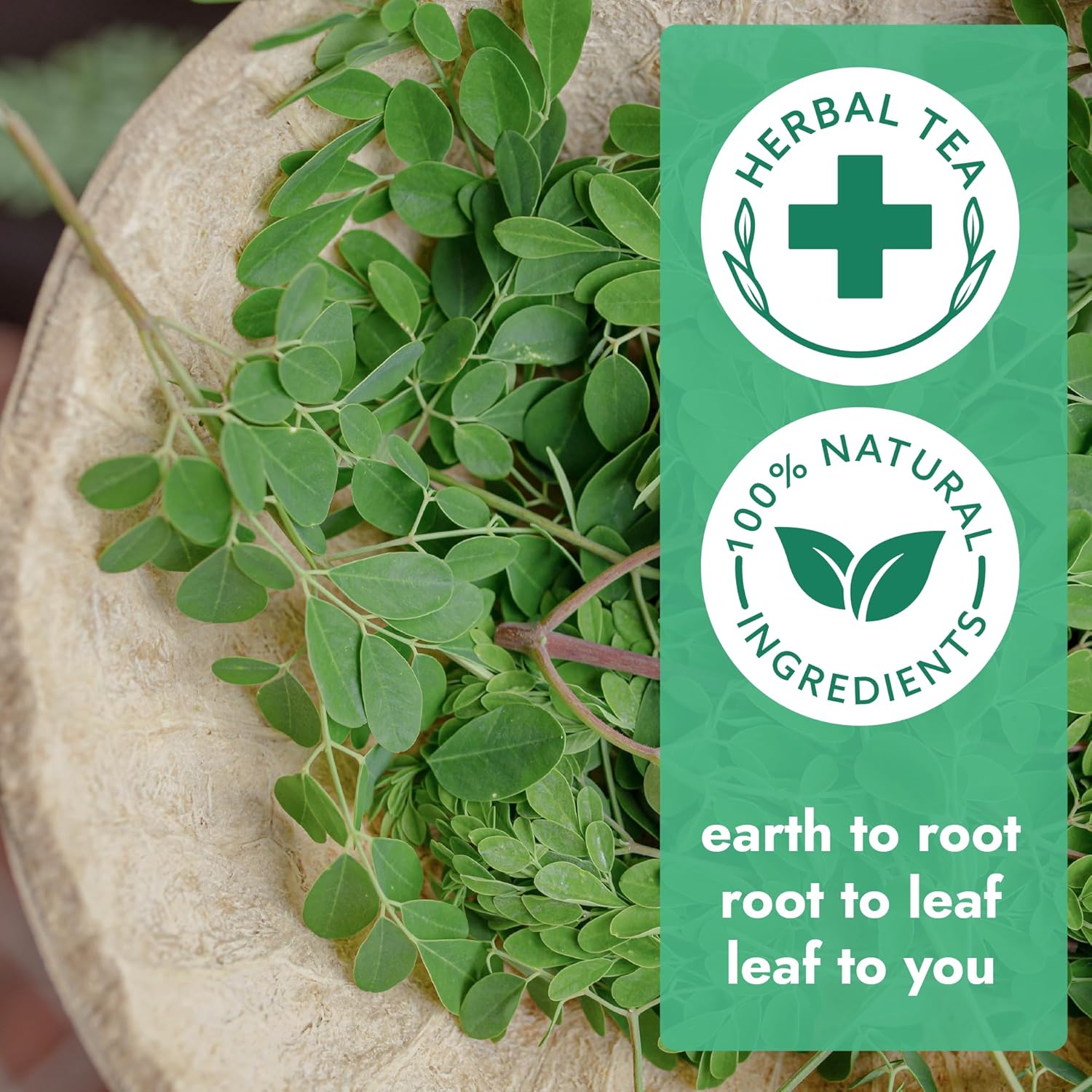 Vital Bloom 120 Tea Bags Moringa Tea, 100% Natural Moringa Leaves Herbal Tea, Supporting Digestion & Immune System - Bleach Free Tea Bags, Non-GMO (Free Bamboo Tongs Included)