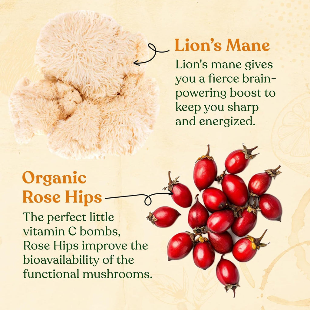 Four Sigmatic Focus Organic Green Tea | Focus Enhancing Tea with Lion's Mane Mushroom Extract | Organic Green Tea, Mint, and Rose Hips | Vegan, Gluten-Free | Unsweetened with Lemon, 24 Servings