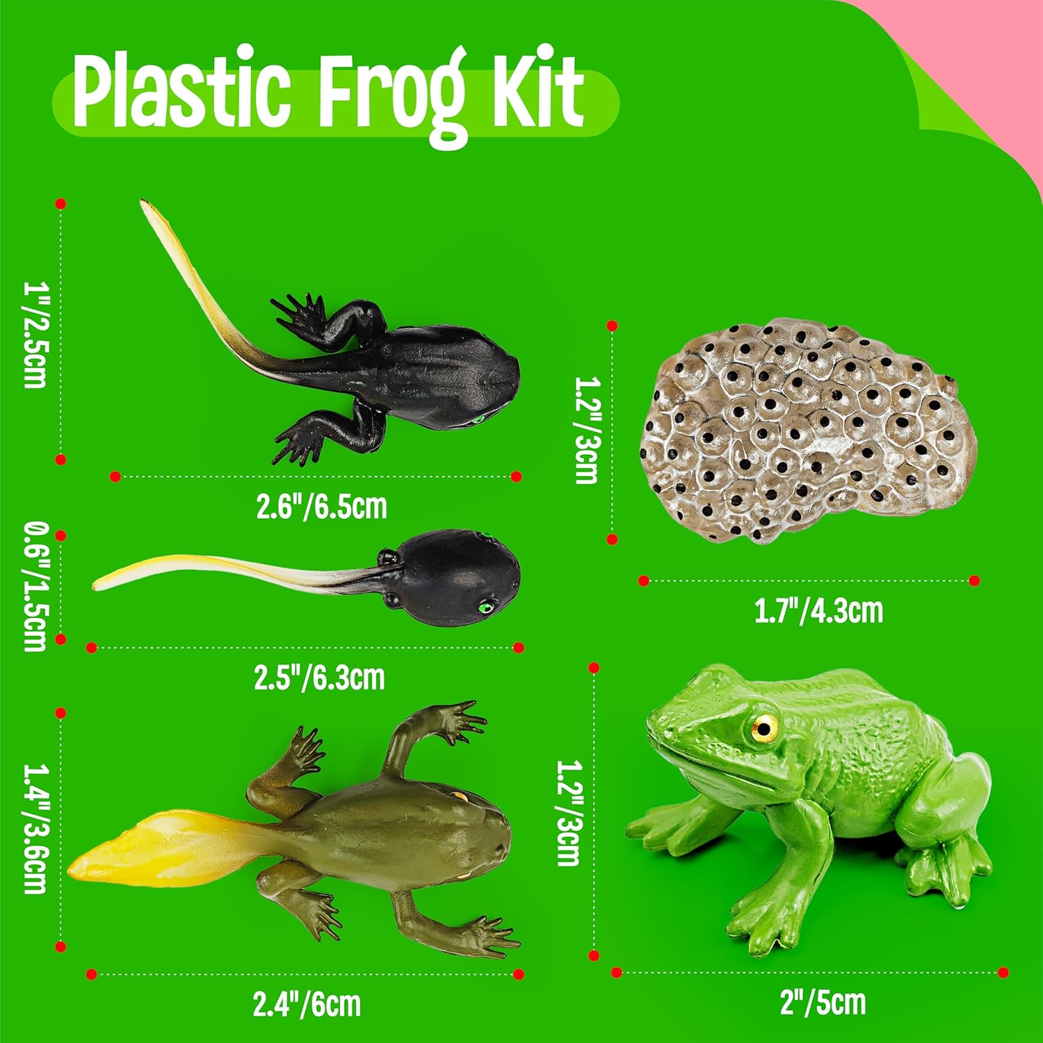 15 Frog Life Circle Flashcards with 5 Plastic Figurines, Frogs Introduction Cards Plastic Insects Tadpole to Frog Kit Toy for Kids, Adults, Animal Lovers