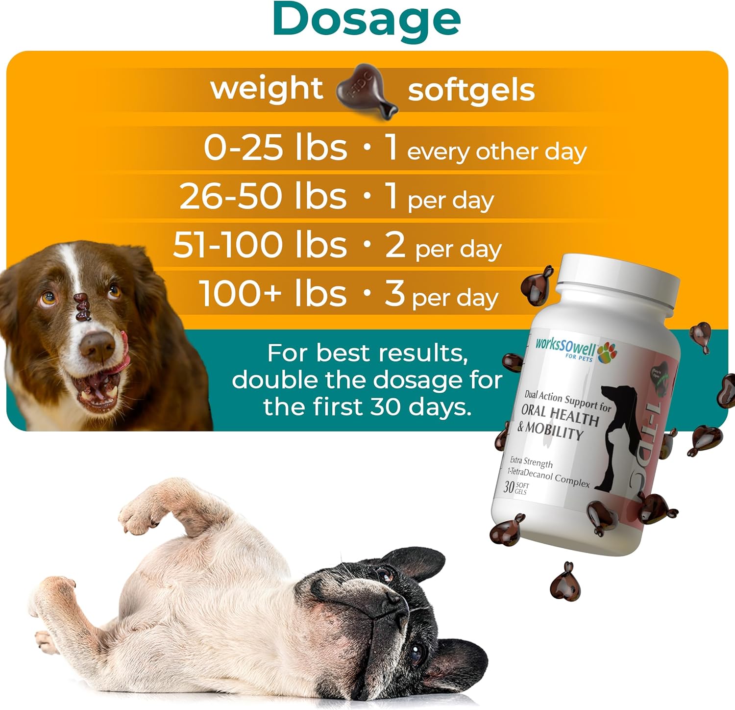 1TDC WorksSoWell Dual Action Joint Supplement for Dogs & Cats - Hip and Joint Supplement for Large Breed & Small Breed - Also Great for Oral Health - Muscle & Stamina Recovery & Arthritis - 30ct