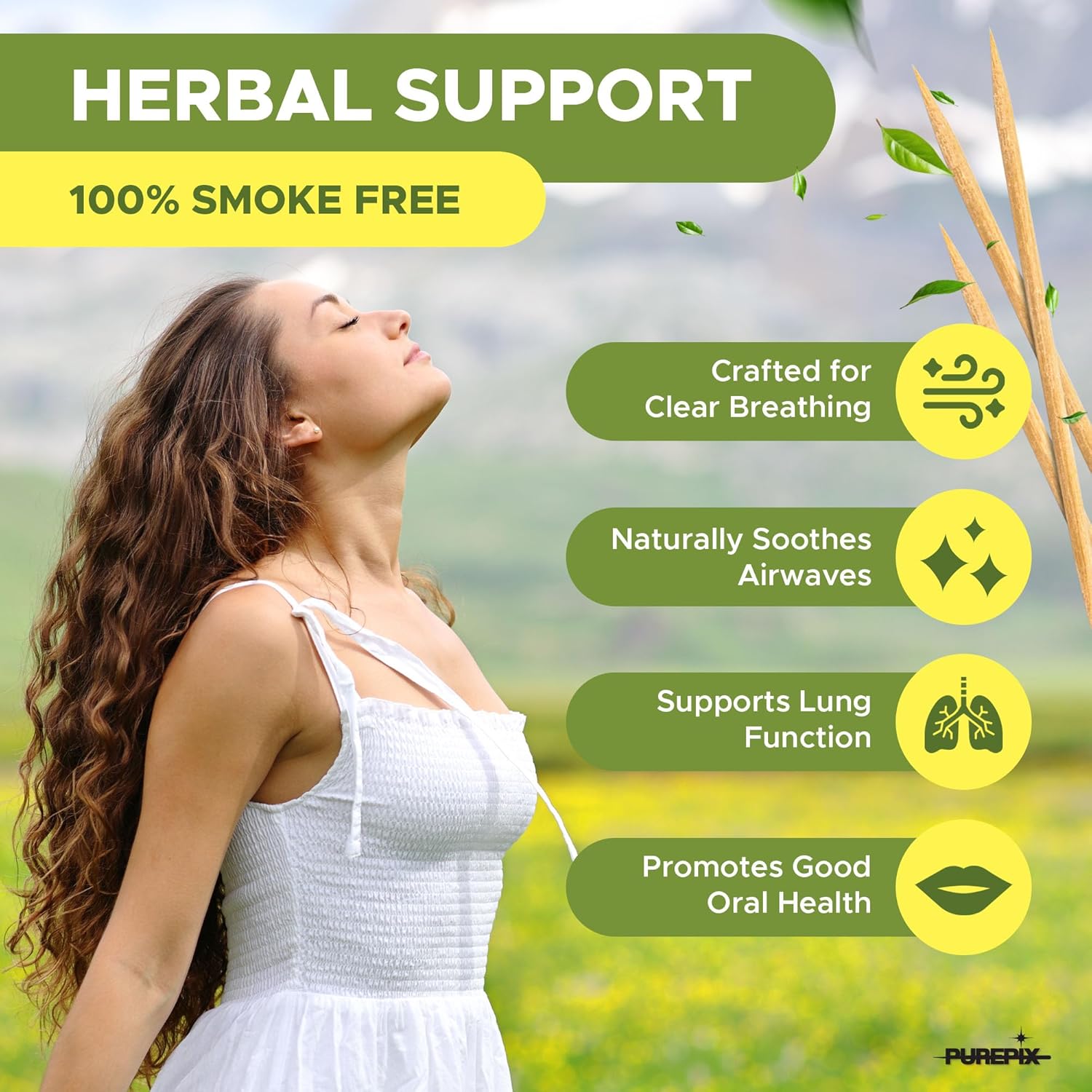 Mullein Pix, Extra Thick Flavored Toothpicks Infused with Mullein Leaf, Natural Quit Smoking Alternative, Lung Cleanse Support, Nicotine Free, Kosher Vegan, Made in The USA (Classic Spearmint 3 Pack)