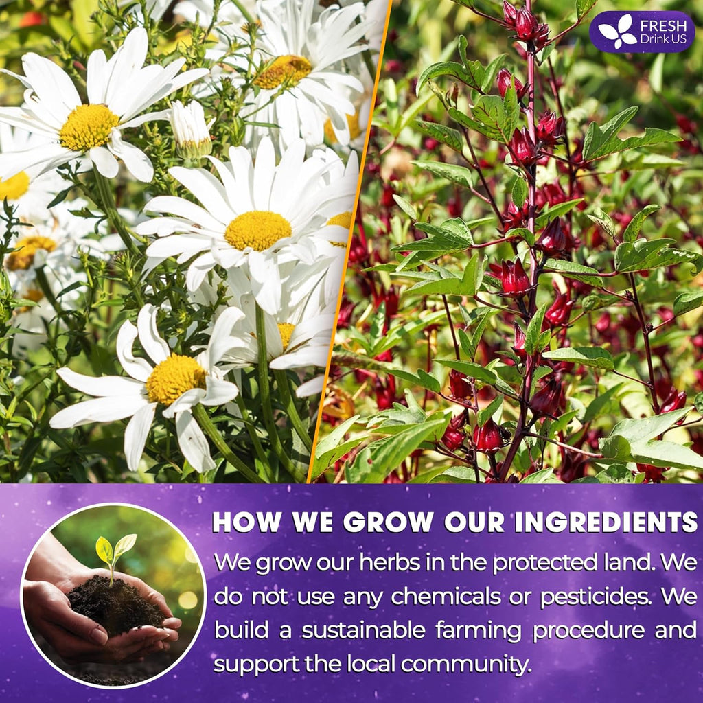 Refreshing Mint Herbal 60 Tea Bags – Special Blend Of Spearmint and Peppermint with Chamomile, and Top Herbal Ingredients for Digestive Comfort & Relaxation, Caffeine-Free, Naturally Sweet, Non GMO