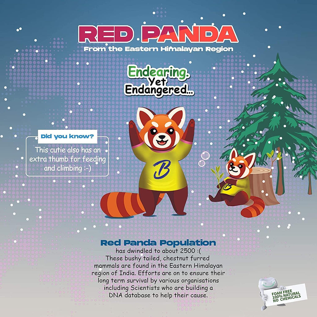 Bentodent Kids Toothpaste - All Natural Kids Toothpaste - Made Safe Certified Kids Toothpaste- No SLS,Veg, Fluoride Free Toothpaste Kids 2+ Age - Fresh Breath, Complete Care(Mango & Bubble Pack)