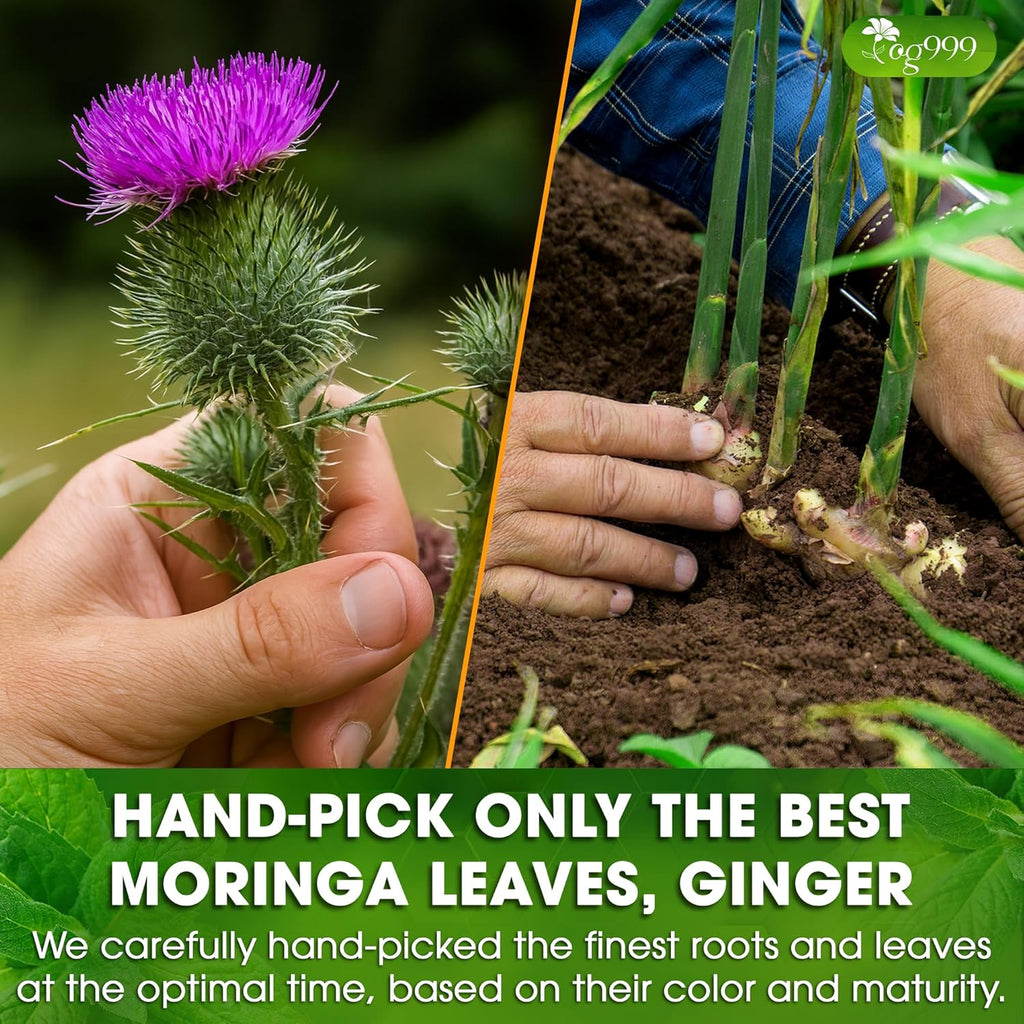 TOG999, Premium Stomach & Liver Herbal Tea – 60 Tea Bags – Milk Thistle Seed, Ginger, Fennel, Peppermint & Licorice – Caffeine-Free – Soothing & Refreshing Herbal Blend for Daily Enjoyment