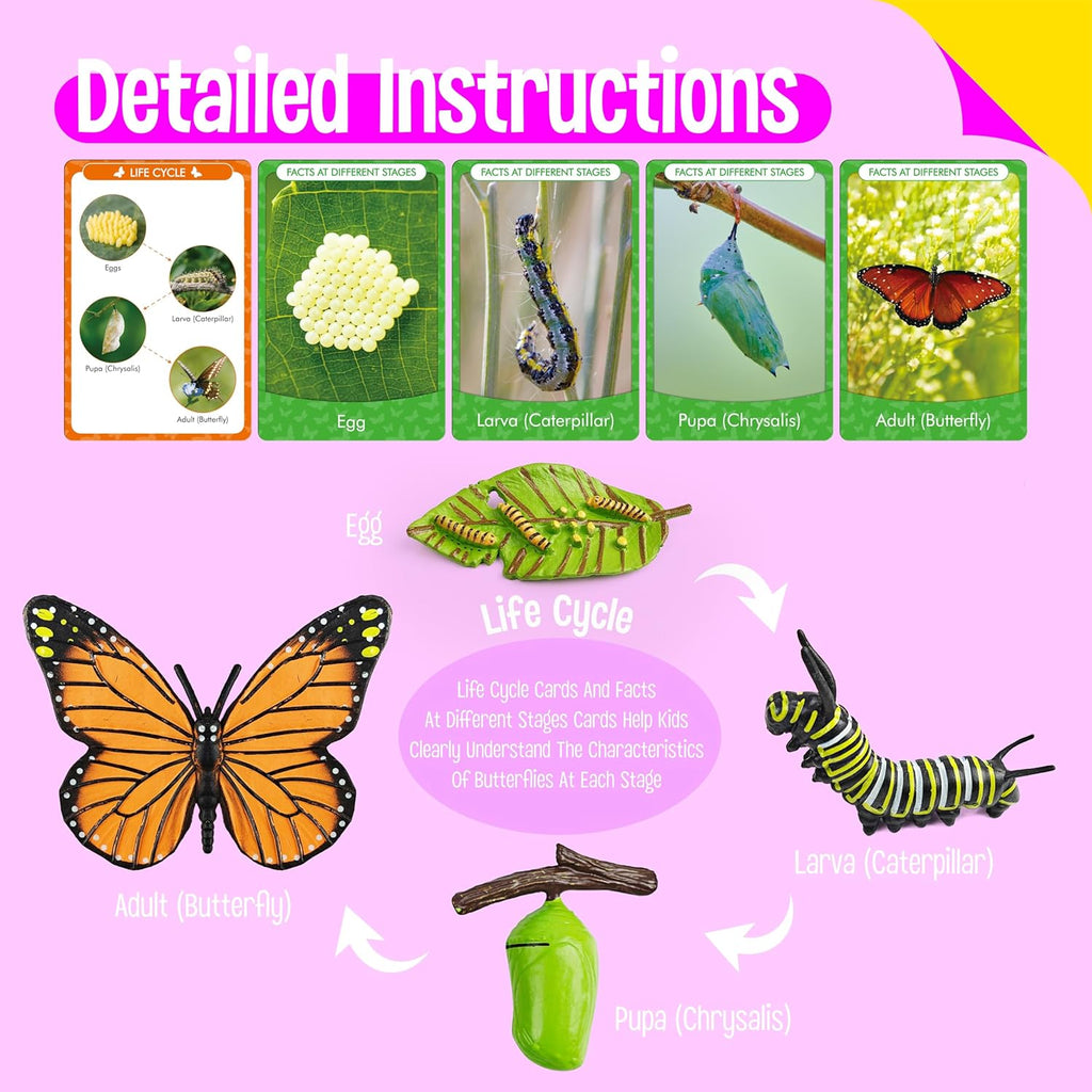 15 Butterfly Life Circle Flashcards with 4 Plastic Figurines, Butterflies Introduction Cards Plastic Insects Egg to Butterfly Kit Toy for Kids, Adults, Animal Lovers