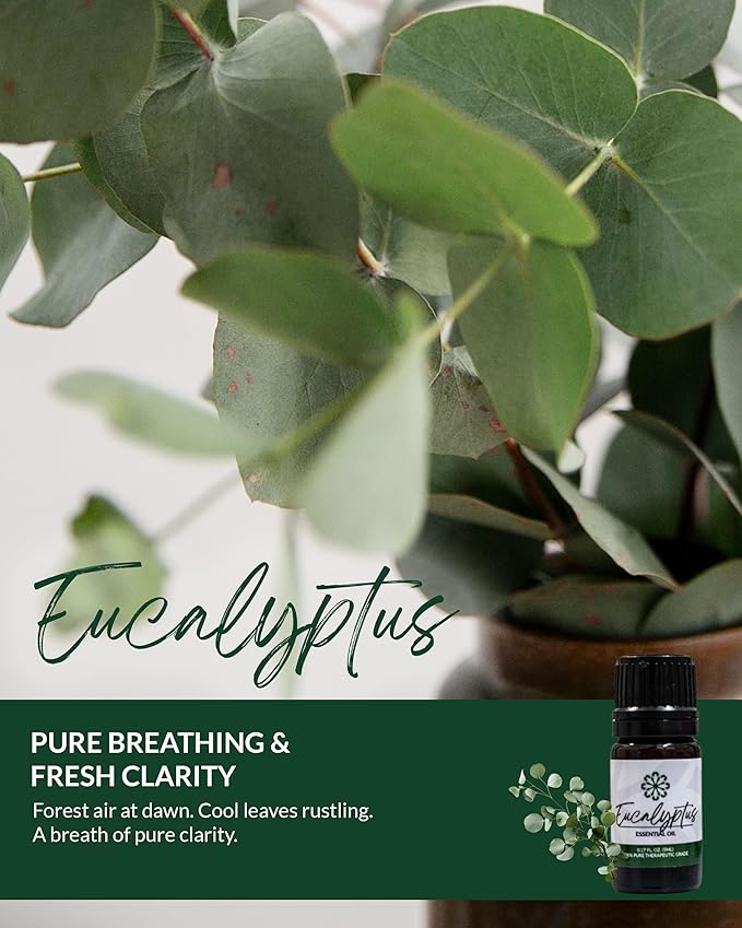 Essence Pearl Travel Case - Wearable Aromatherapy Kit with Nasal Diffuser Rings, Soaking Bay, and 5mL Essential Oil – Portable Wellness Gift Set for On?The?Go Self Care