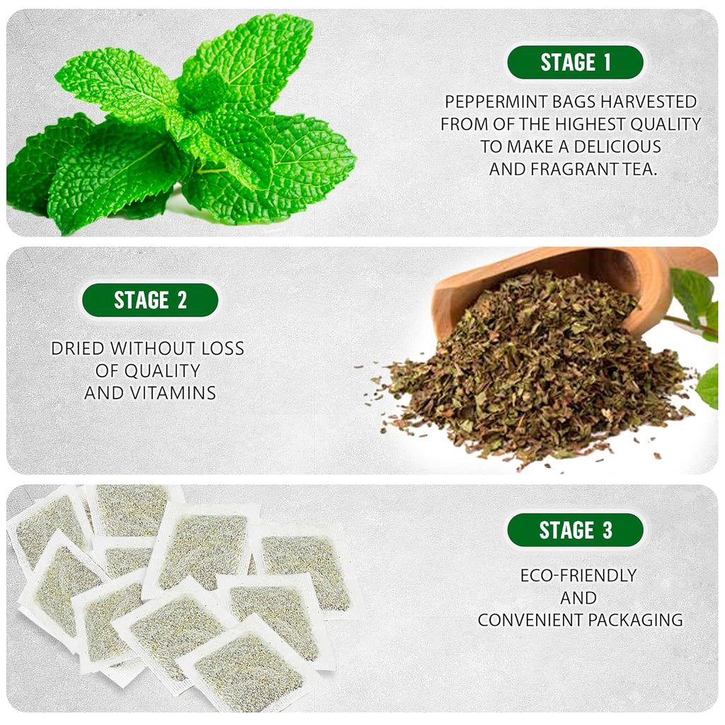TeaDreamTea Peppermint Herbal Tea - Mint Tea Bags - Alleviates Digestive Discomfort | Caffeine Free, Bulk (400 Teabags)