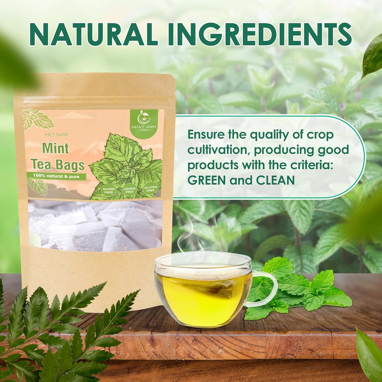 NHAT ANH FARM - Premium Peppermint Tea Bags, 40 Peppermint Tea Bags, 100% Natural Dried Mint Leaves, Naturally Sweet Herbal Tea, Sugar-Free, Caffeine-Free, No Additives.