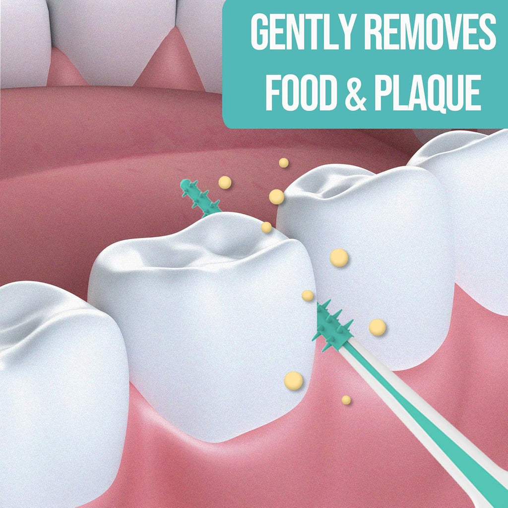 Dr. Emma Dental Picks Mint Brush Picks 100Ct/Pack, 2 Packs (200Ct)