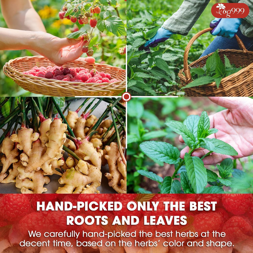 TOG999 Red Raspberry Leaves Tea Bags with Spearmint Flavor for Hormone Balance Natural Menstrual Cycle Support, 40 Count, Natural Material Tea Bags, No Sugar, No Caffeine, Vegan