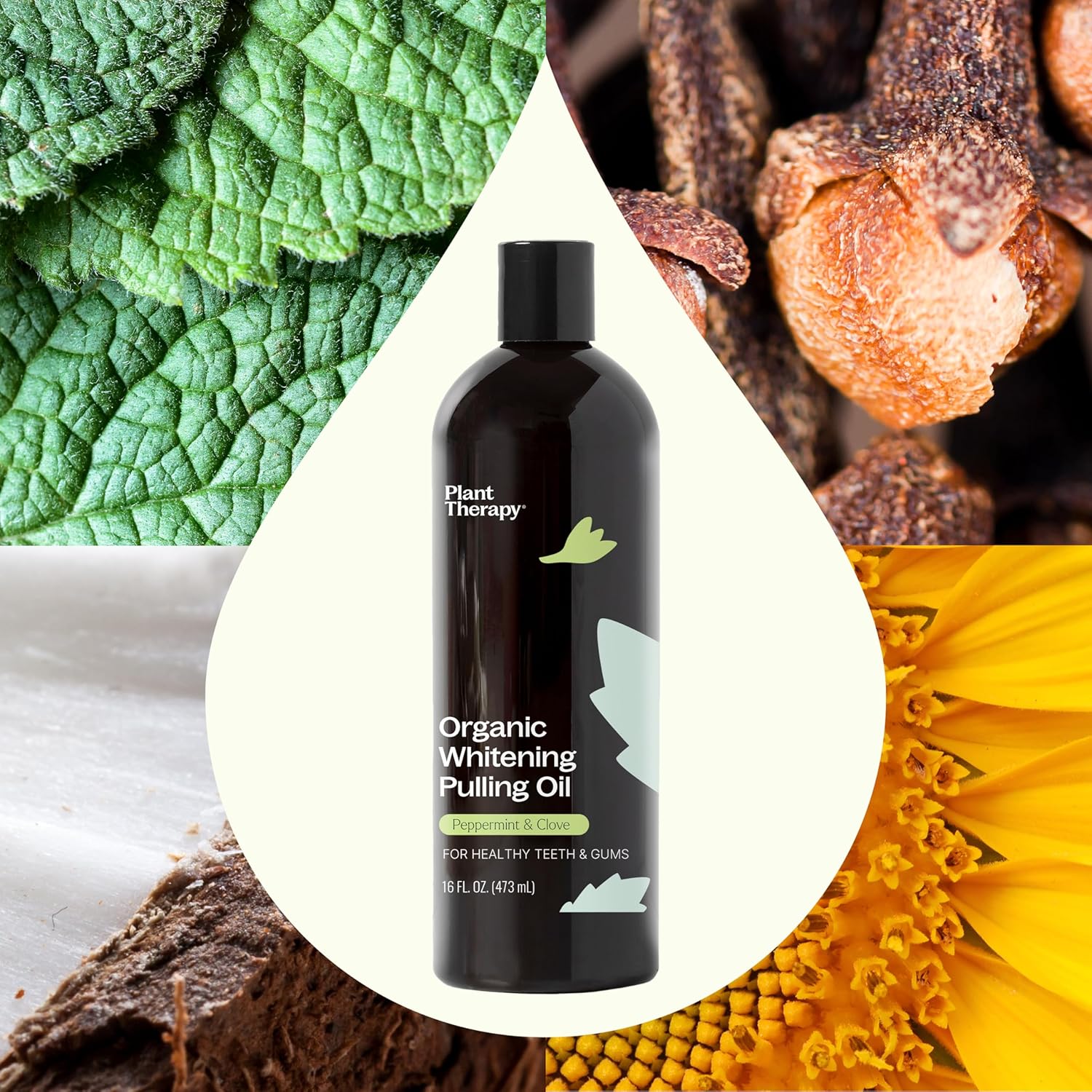 Plant Therapy Organic Pulling Oil 16 oz Coconut & Peppermint, Naturally Whitens Teeth, Freshens Breath & Supports Gum Health, Helps Calm Oral Irritation and Discomfort, Natural Essential Oils