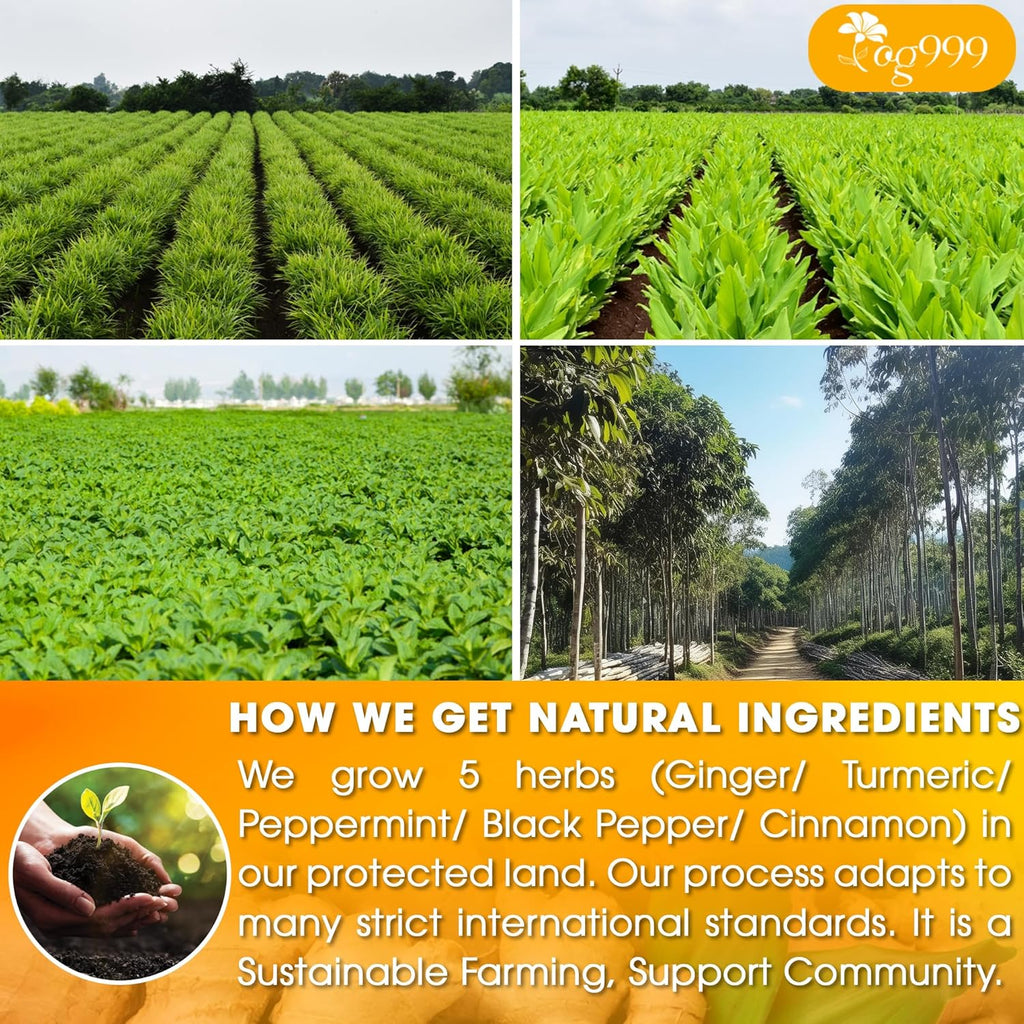 120 Tea Bags - Anti-Inflammaheb Loose Leaf Tea, 100% Natural from Ginger, Turmeric, Peppermint, Black Pepper, Cinnamon. Made with Natural Material Tea Bags. No Sugar, No Caffeine, No Gluten, Vegan.