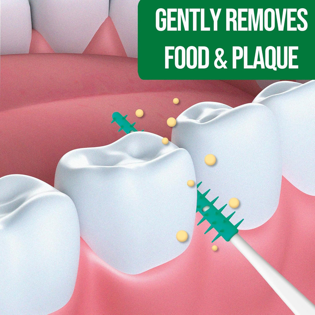 Dr. Emma Original Dental Picks Mint Soft Rubberized Tooth Picks Easy to Use Brush Picks 100Ct/Pack, 2 Packs (200Ct)